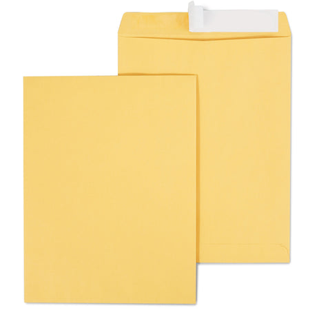 Staples EasyClose Kraft Catalog Envelopes, 10"L x 13"H, Brown, 100/Box