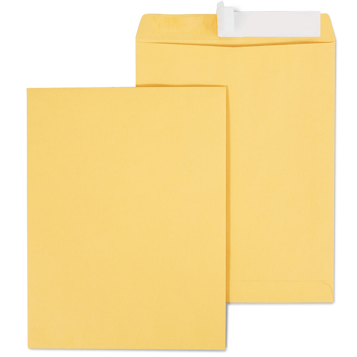 Staples EasyClose Kraft Catalog Envelopes, 10"L x 13"H, Brown, 100/Box