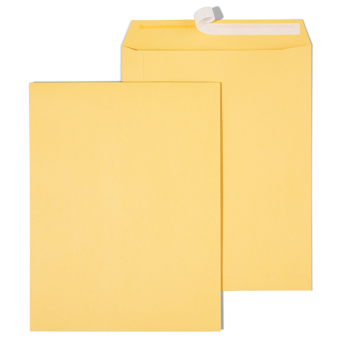 Staples EasyClose Kraft Catalog Envelopes, 10"L x 13"H, Brown, 250/Box