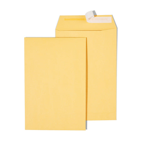 Staples EasyClose Self Seal #1 Catalog Envelope, 6" x 9", Kraft, 100/Box