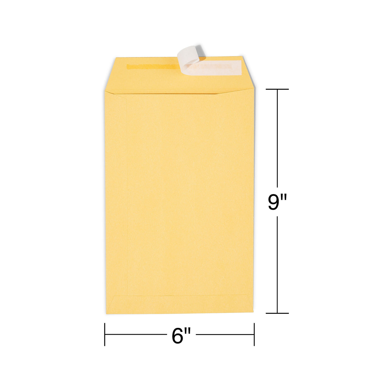 Staples EasyClose Self Seal #1 Catalog Envelope, 6" x 9", Kraft, 100/Box