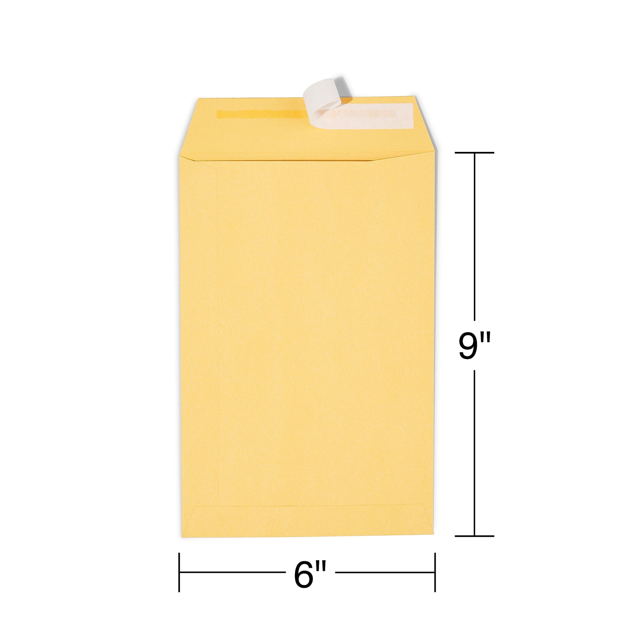 Staples EasyClose Self Seal #1 Catalog Envelope, 6