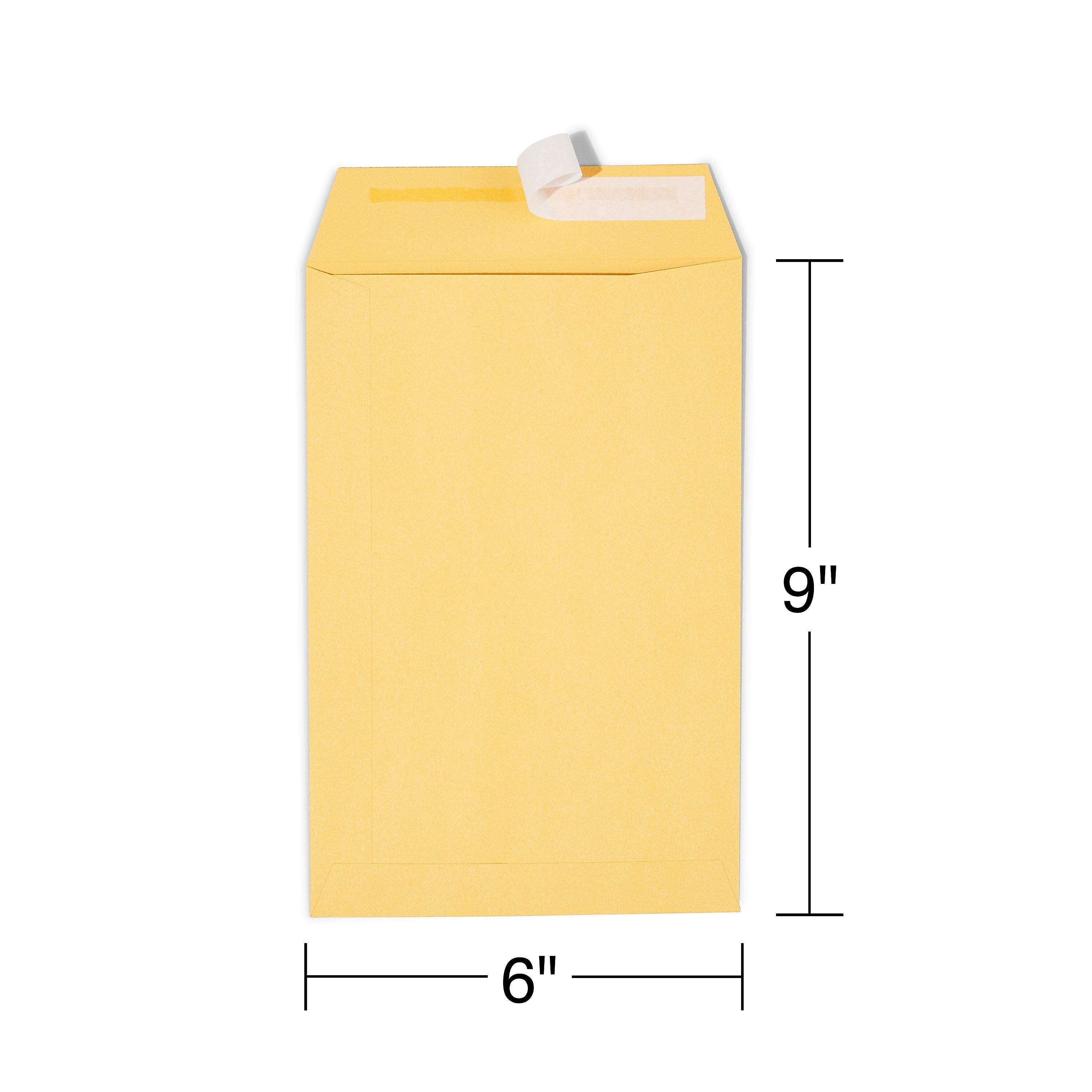 Staples EasyClose Self Seal #1 Catalog Envelope, 6" x 9", Kraft, 100/Box