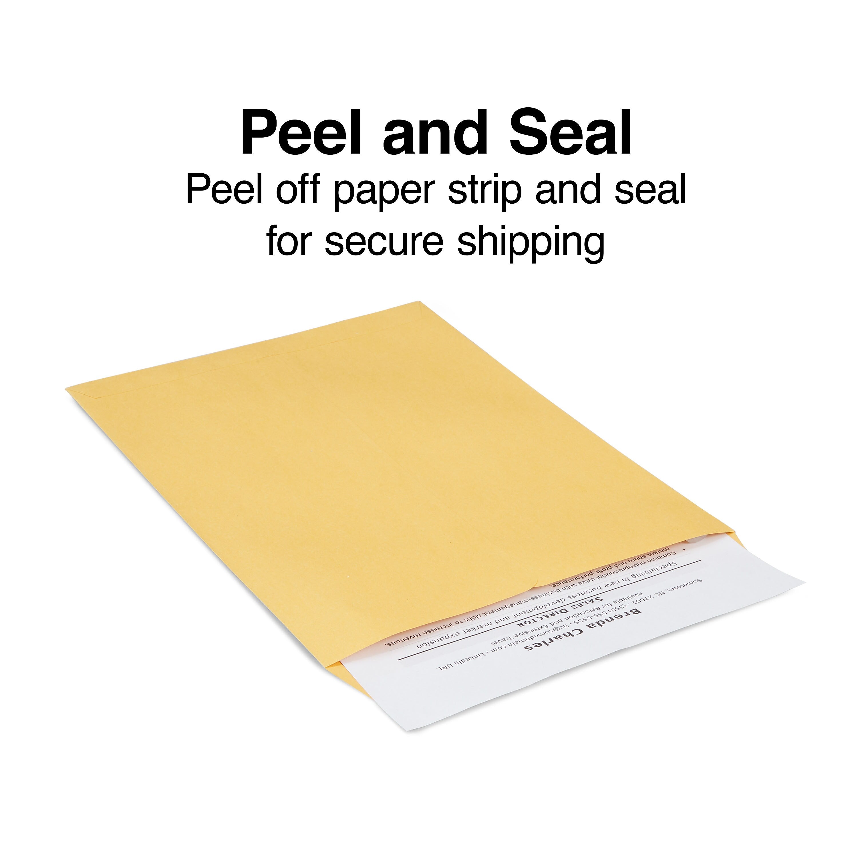 Staples® EasyClose Self Seal #10 1/2 Catalog Envelope, 9" x 12", Brown, 250/Box