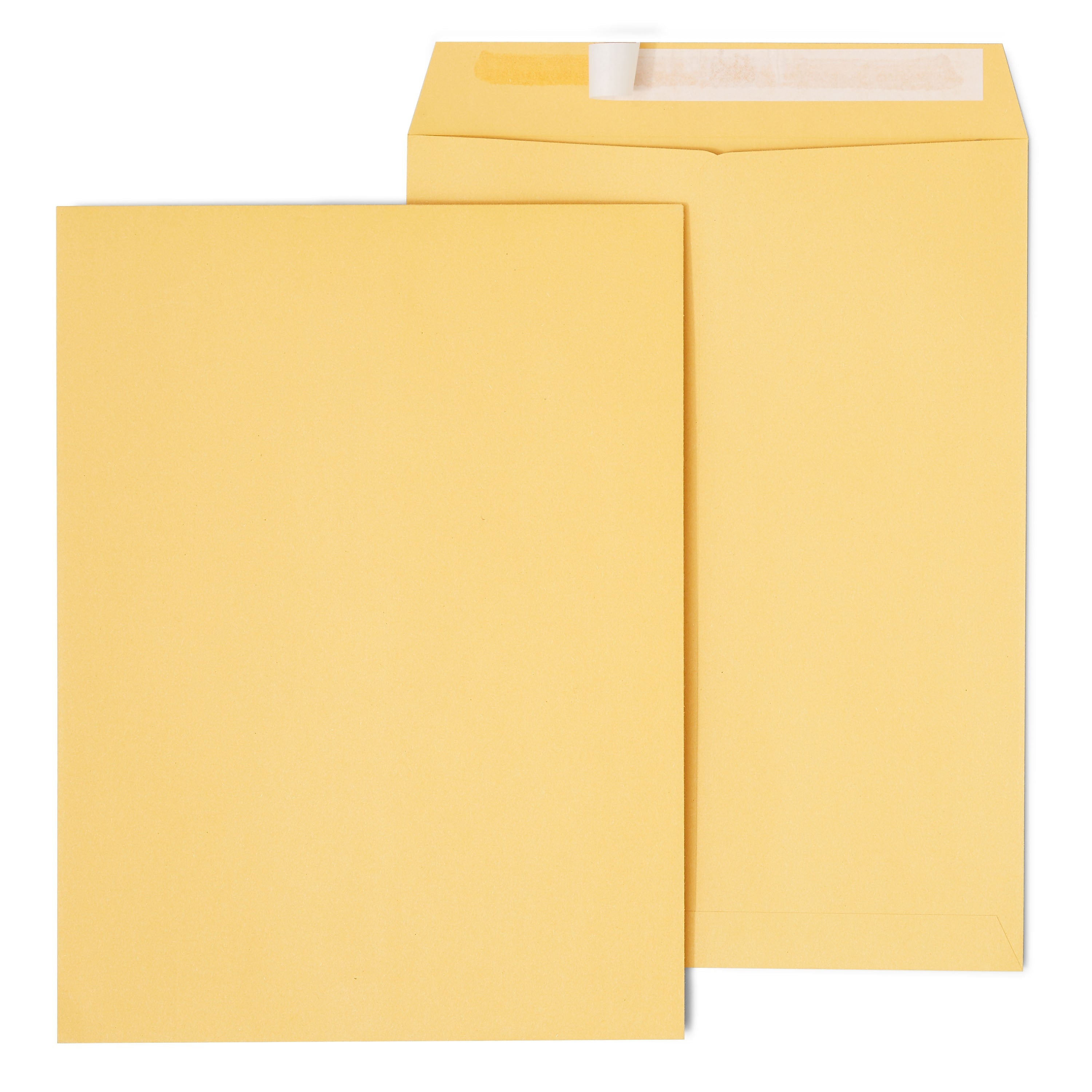 Staples EasyClose Self Seal #10 1/2 Kraft Catalog Envelope, 9