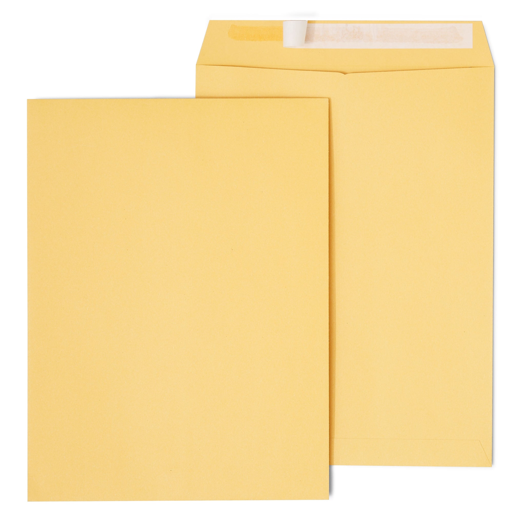 Staples EasyClose Self Seal #10 1/2 Kraft Catalog Envelope, 9