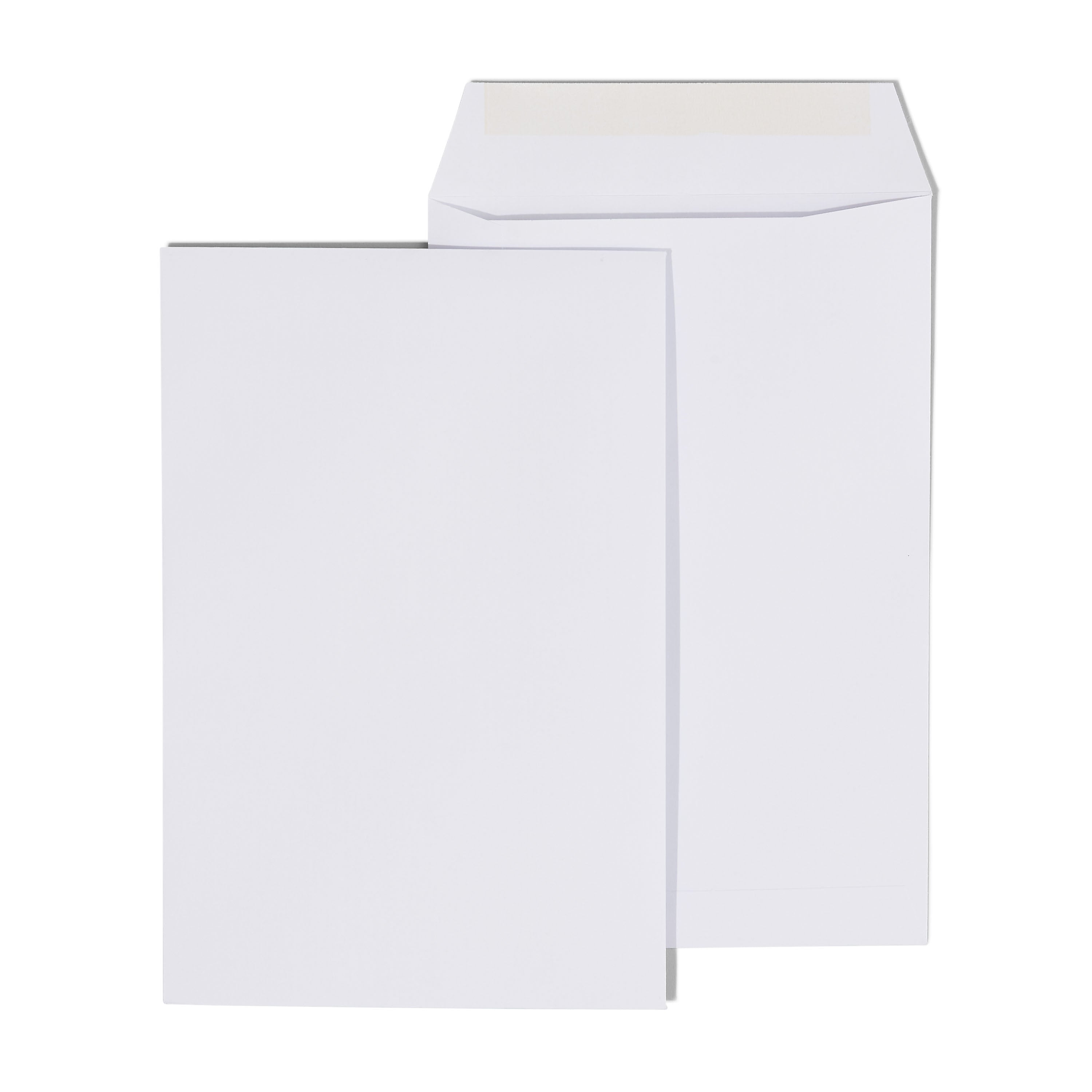 Staples Economy Gummed Catalog Envelopes, 6" x 9", White, 250/Box