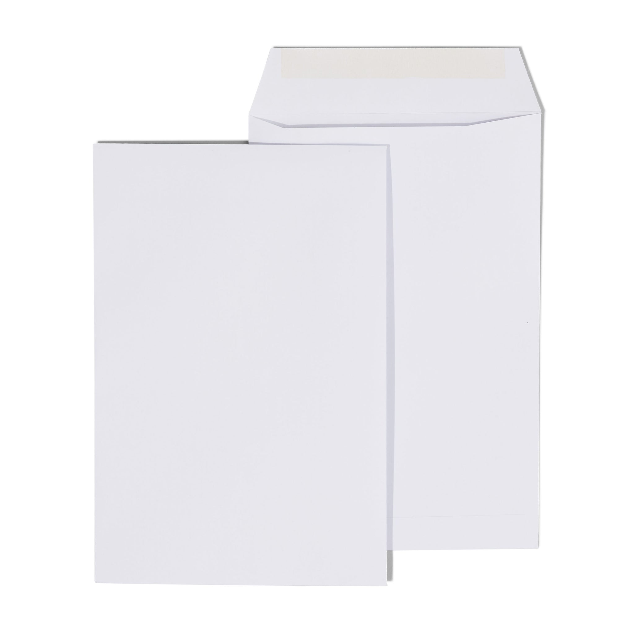 Staples Economy Gummed Catalog Envelopes, 6