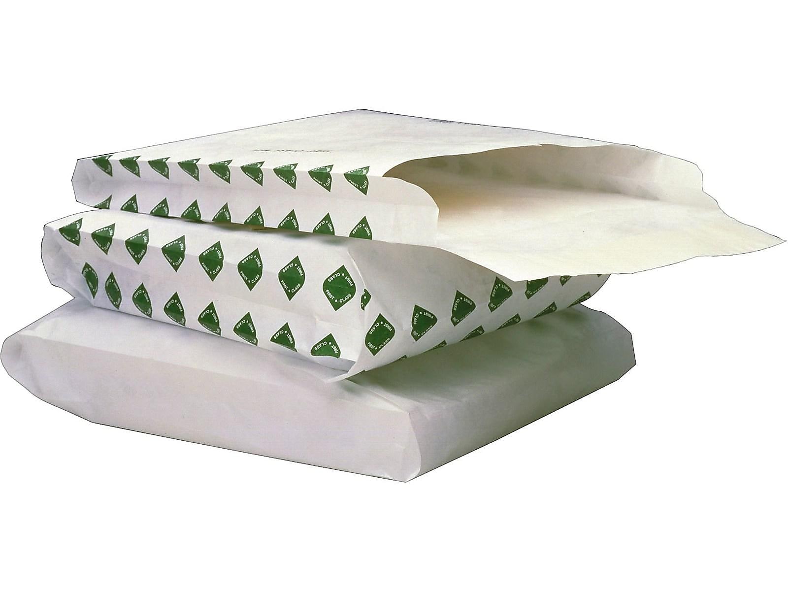 Staples First Class Tyvek Self Seal Catalog Envelope, 10