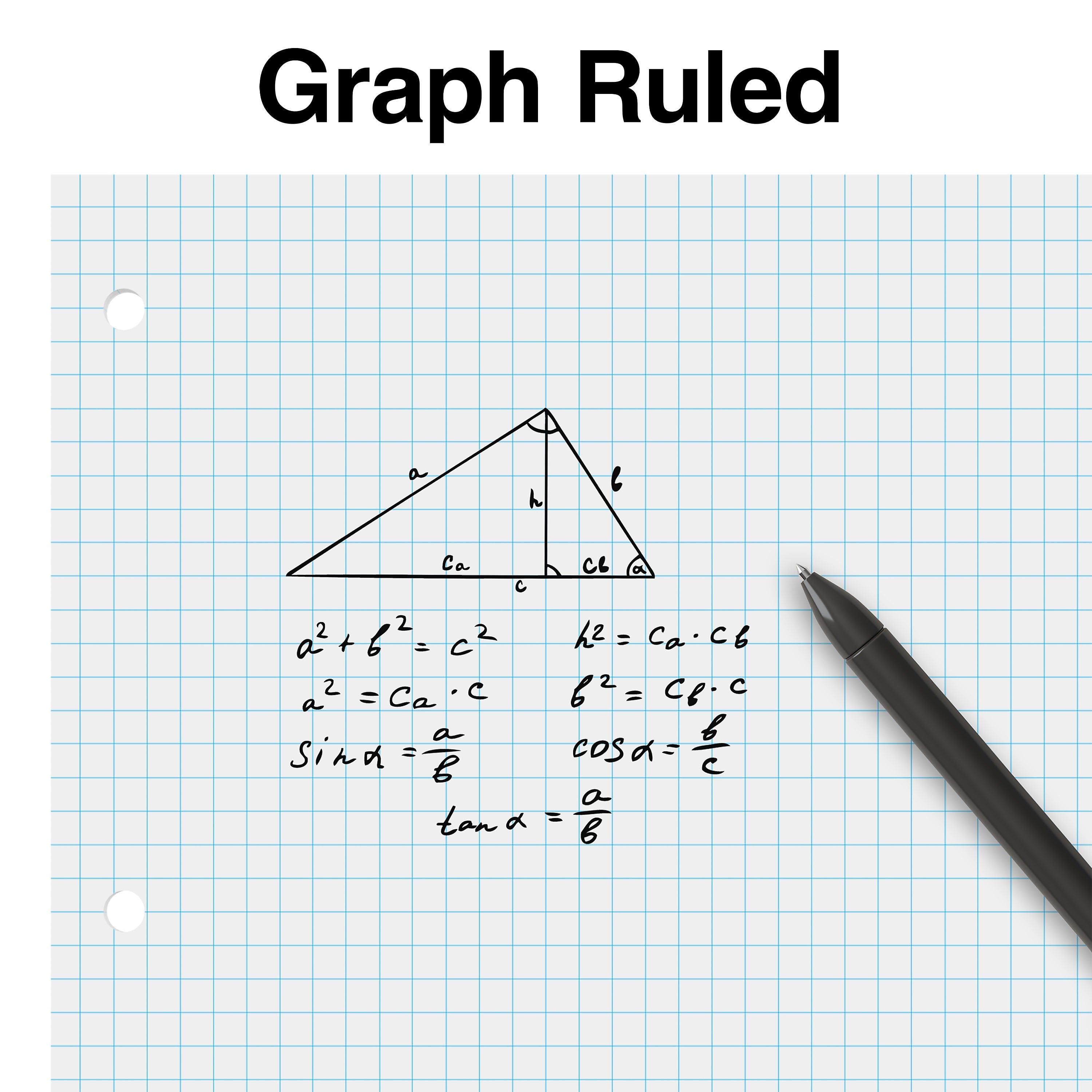 Staples® Graph Ruled Filler Paper, 8