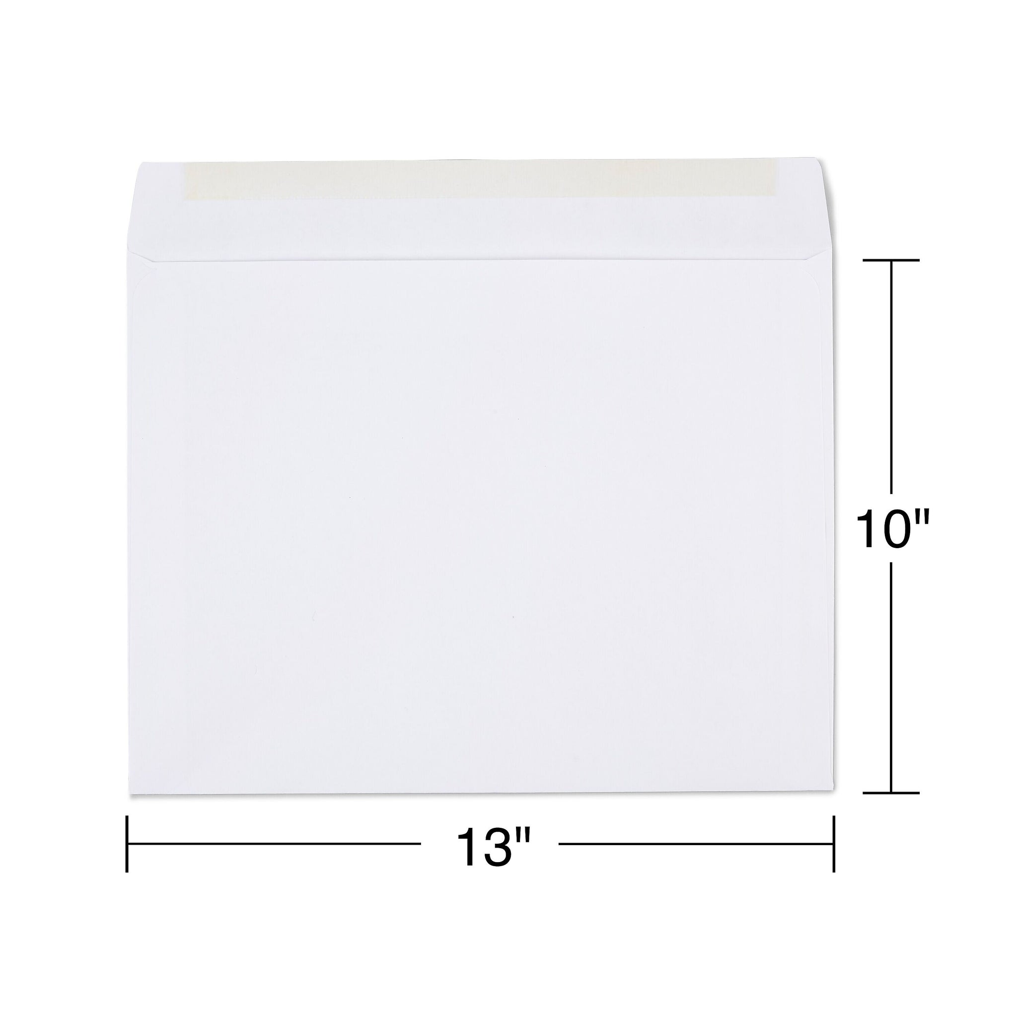 Staples Gummed Booklet Envelopes, 10
