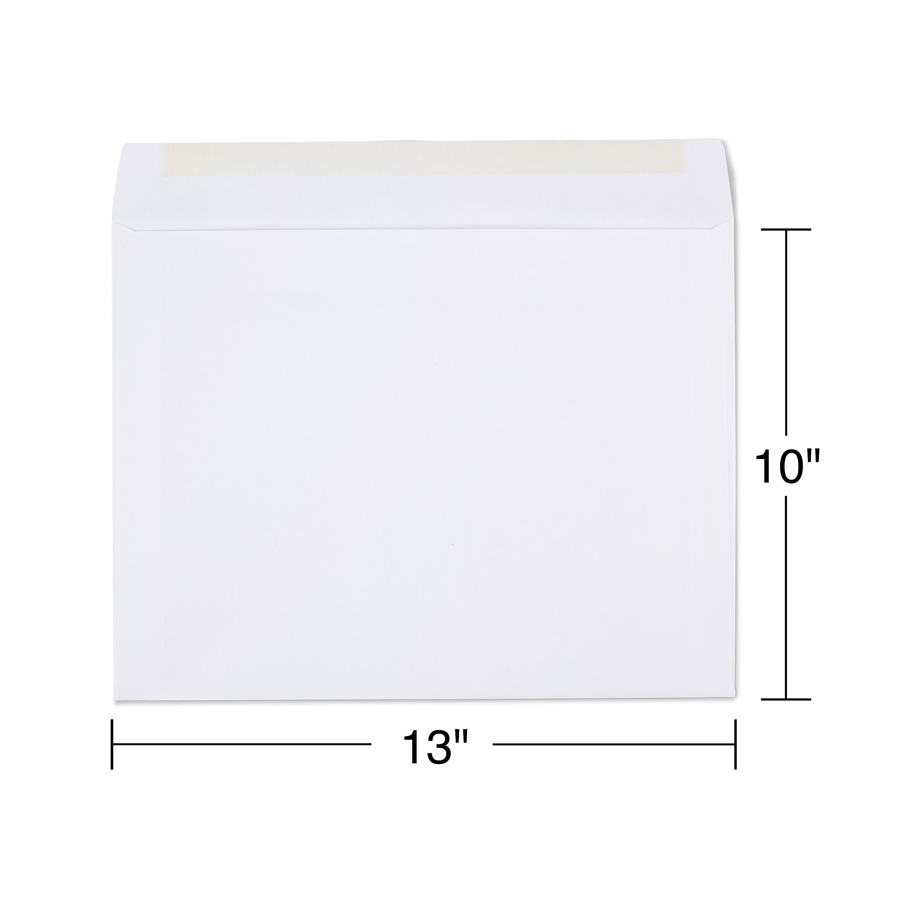 Staples Gummed Booklet Envelopes, 10