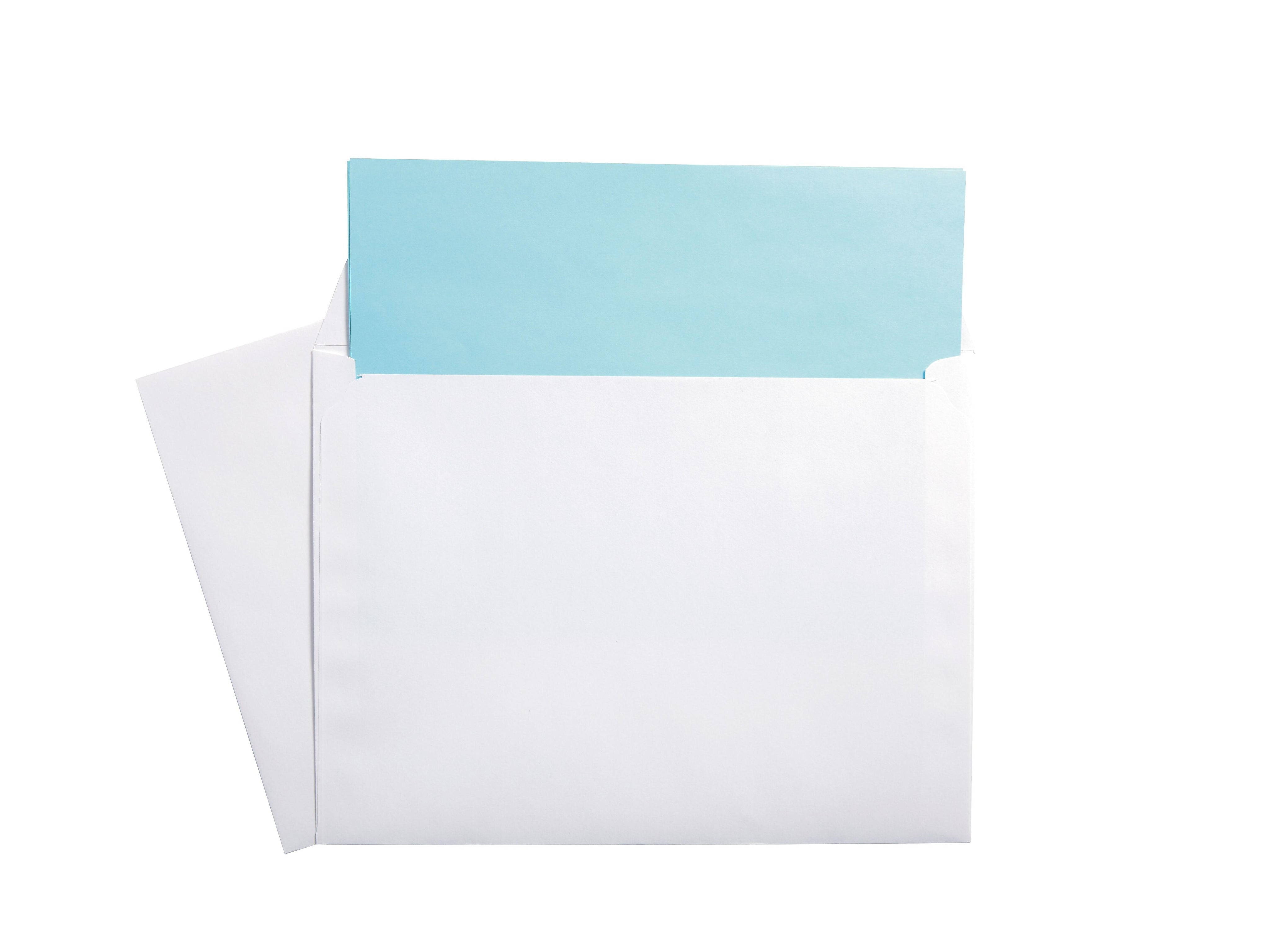 Staples Gummed Booklet Envelopes, 9" x 12", White, 100/Box