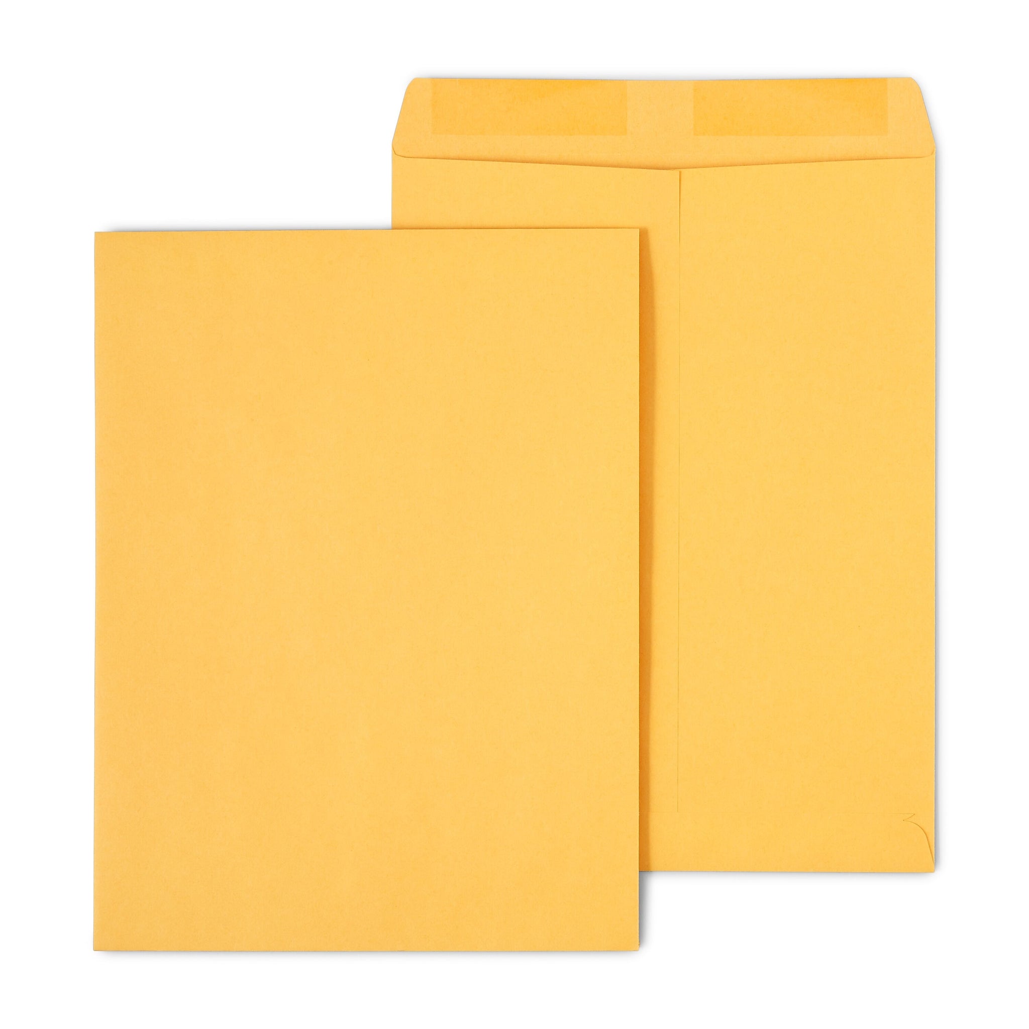 Staples Gummed Catalog Envelopes, 10