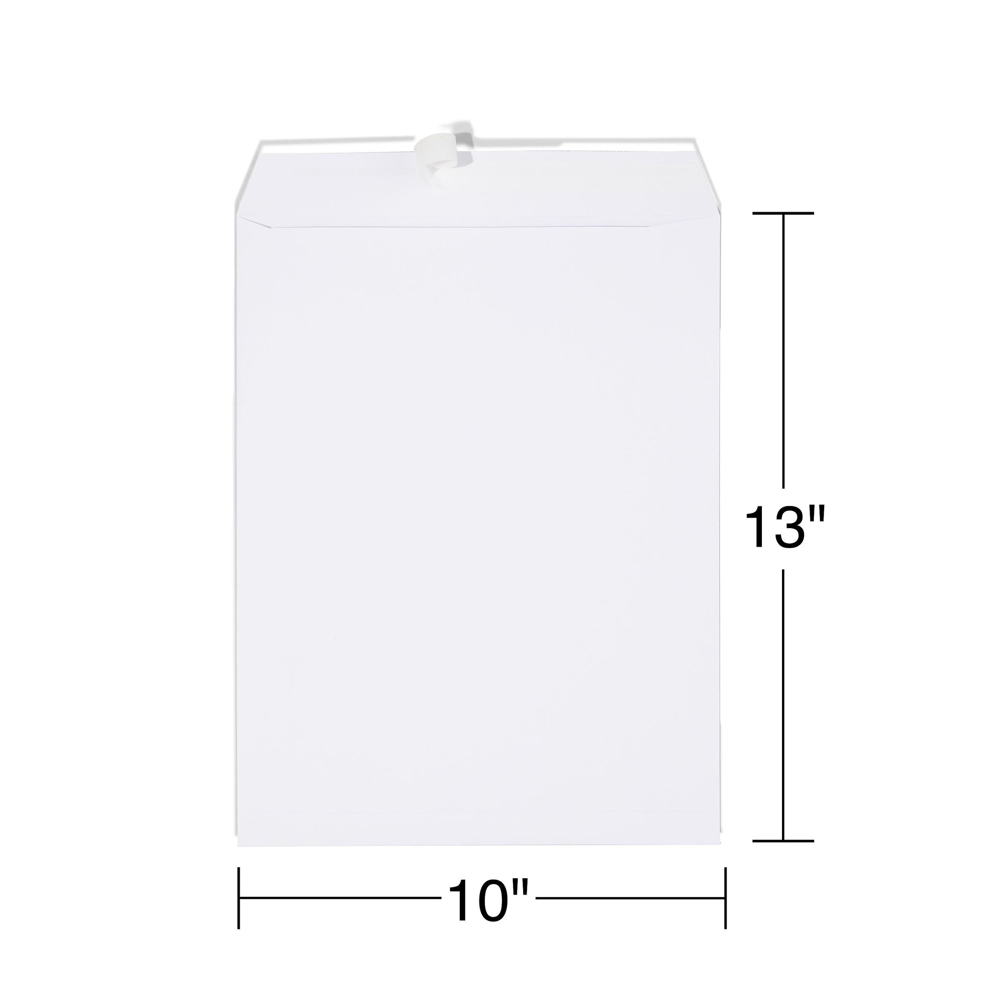 Staples Gummed Catalog Envelopes, 10