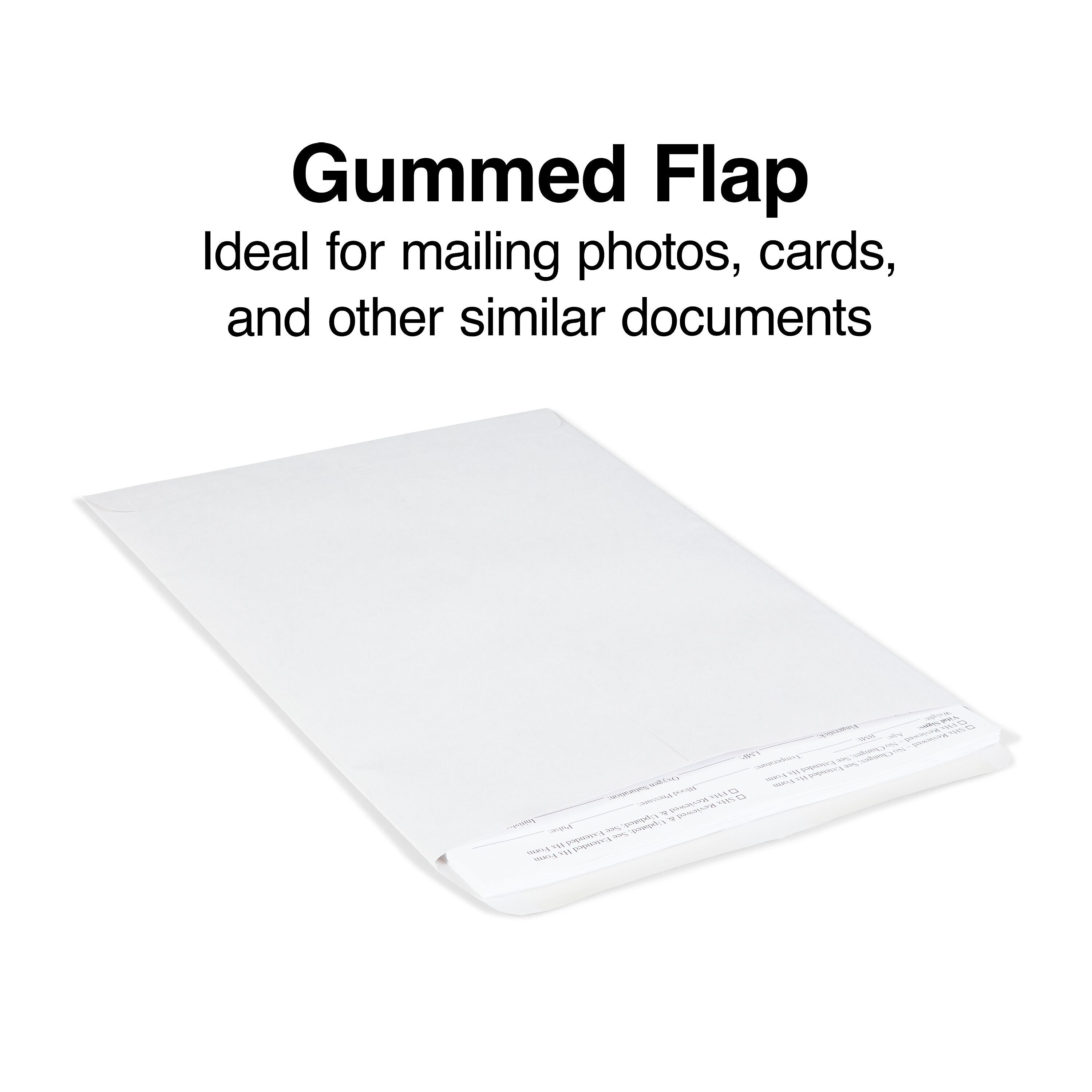 Staples Gummed Catalog Envelopes, 9