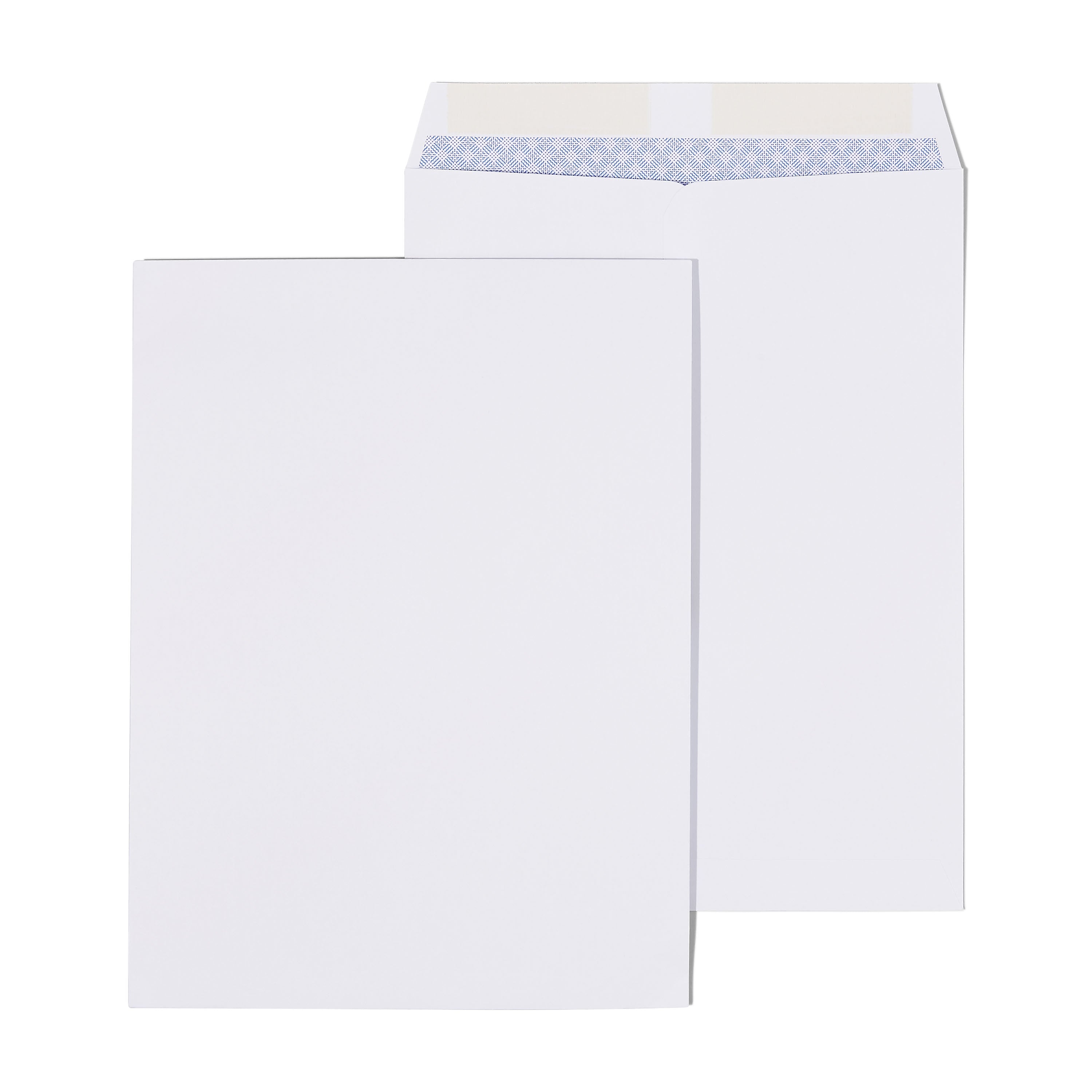 Staples Gummed Catalog Envelopes, 9