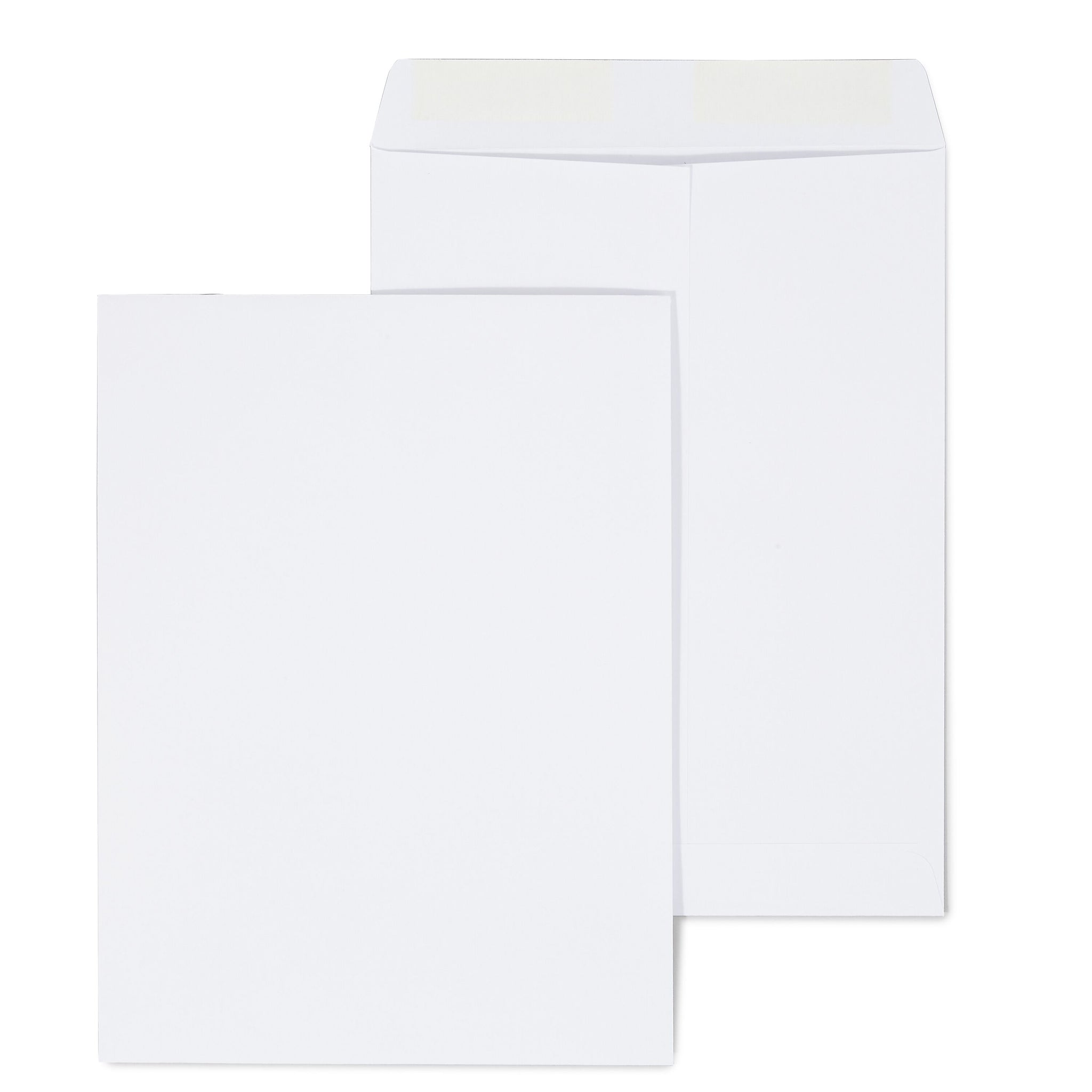 Staples Gummed Catalog Envelopes, 9