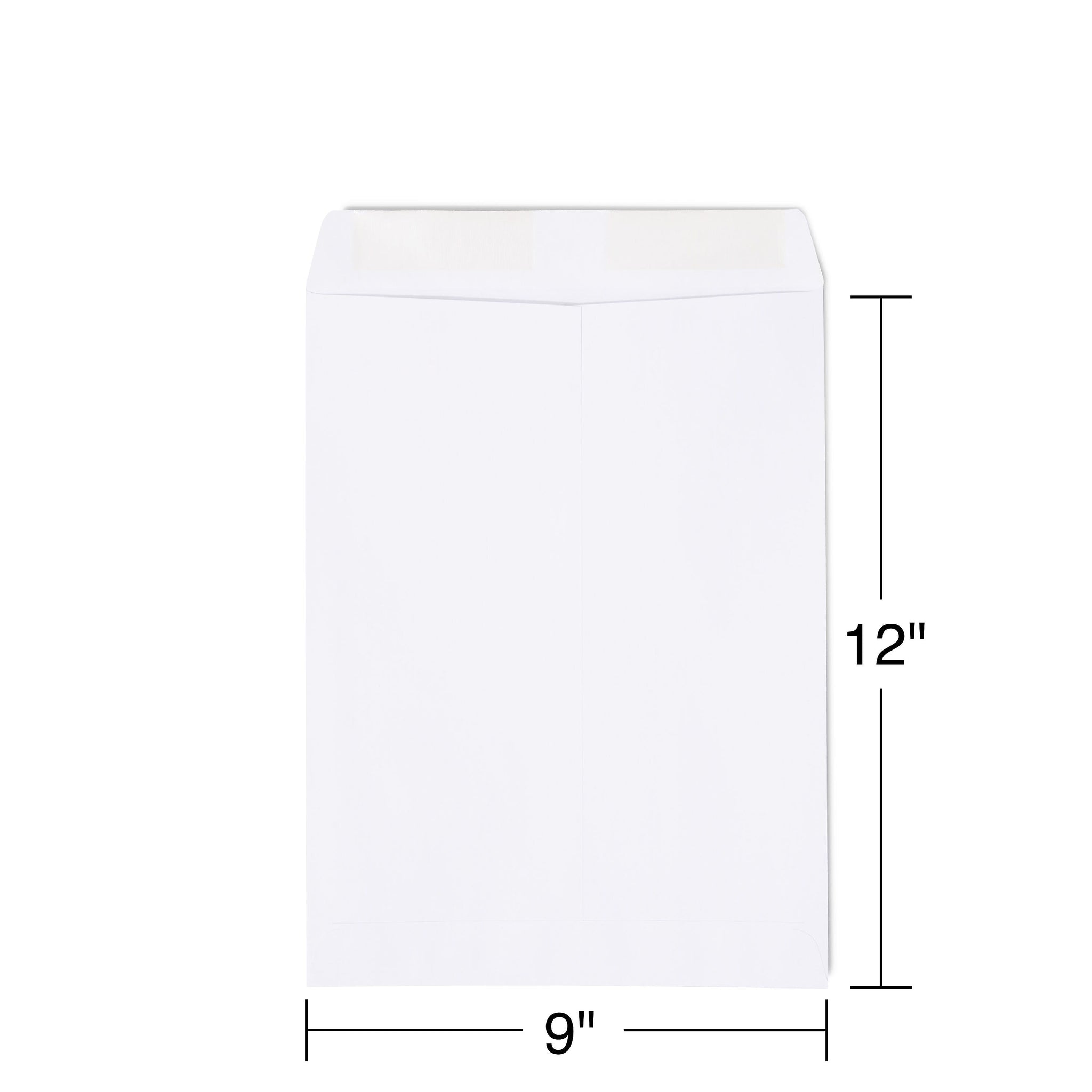 Staples Gummed Catalog Envelopes, 9