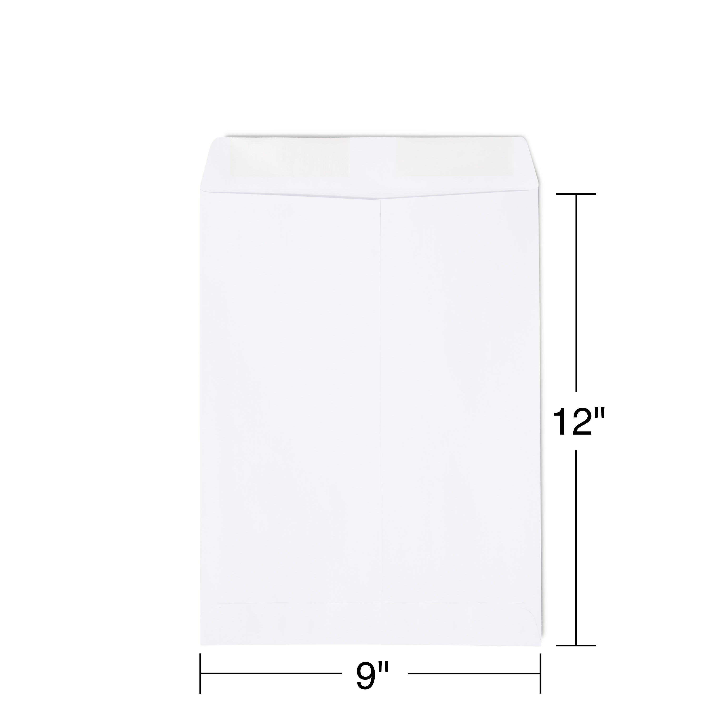 Staples Gummed Catalog Envelopes, 9
