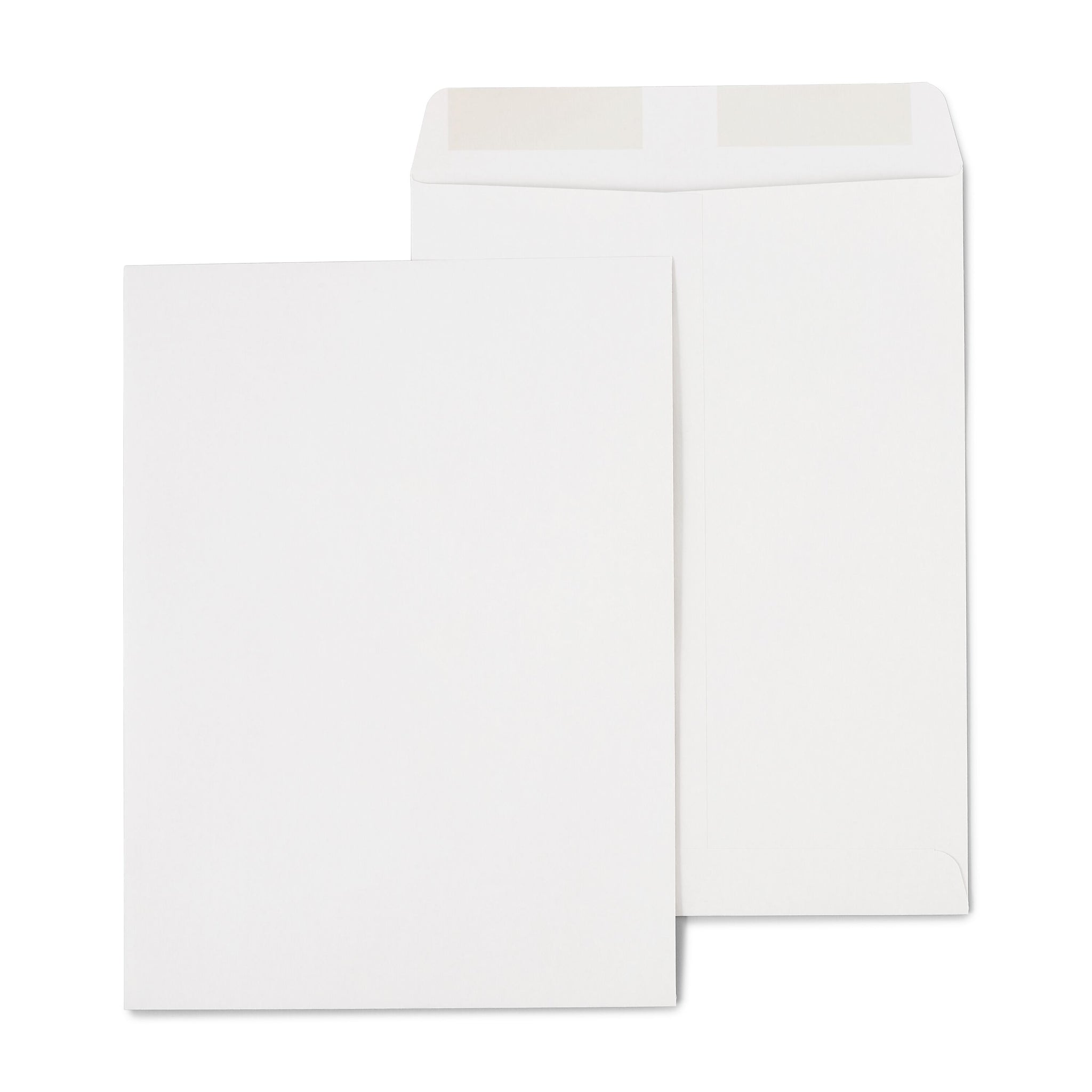 Staples Gummed Kraft Catalog Envelopes, 9