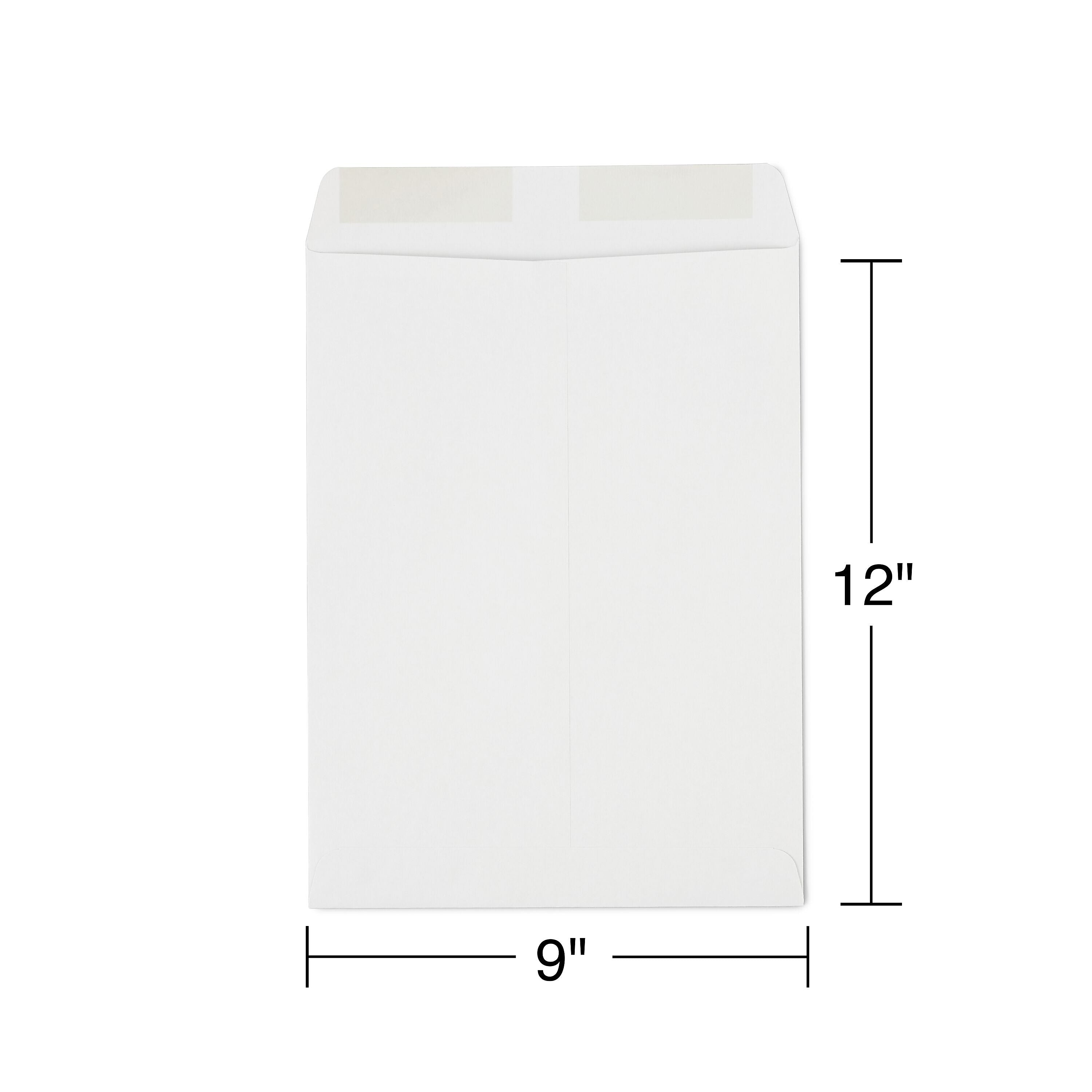 Staples Gummed Kraft Catalog Envelopes, 9