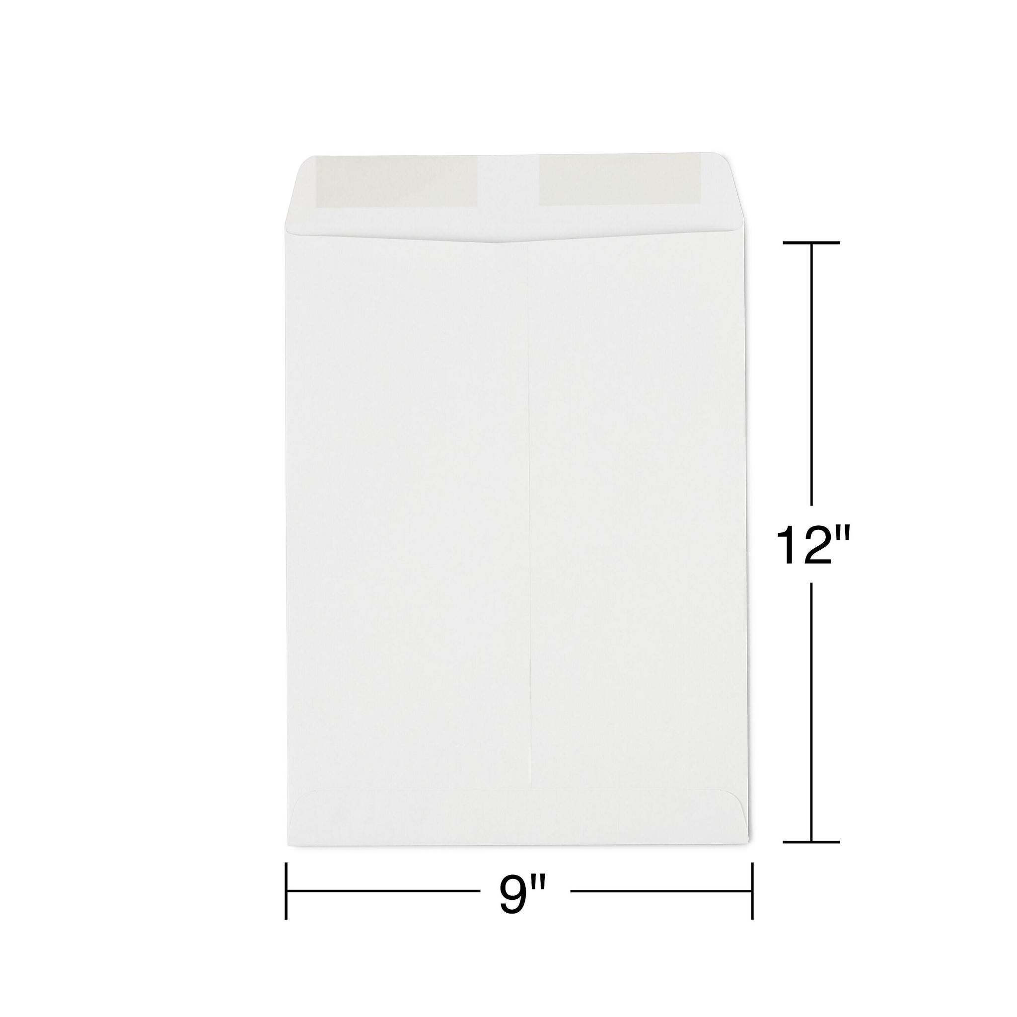 Staples Gummed Kraft Catalog Envelopes, 9