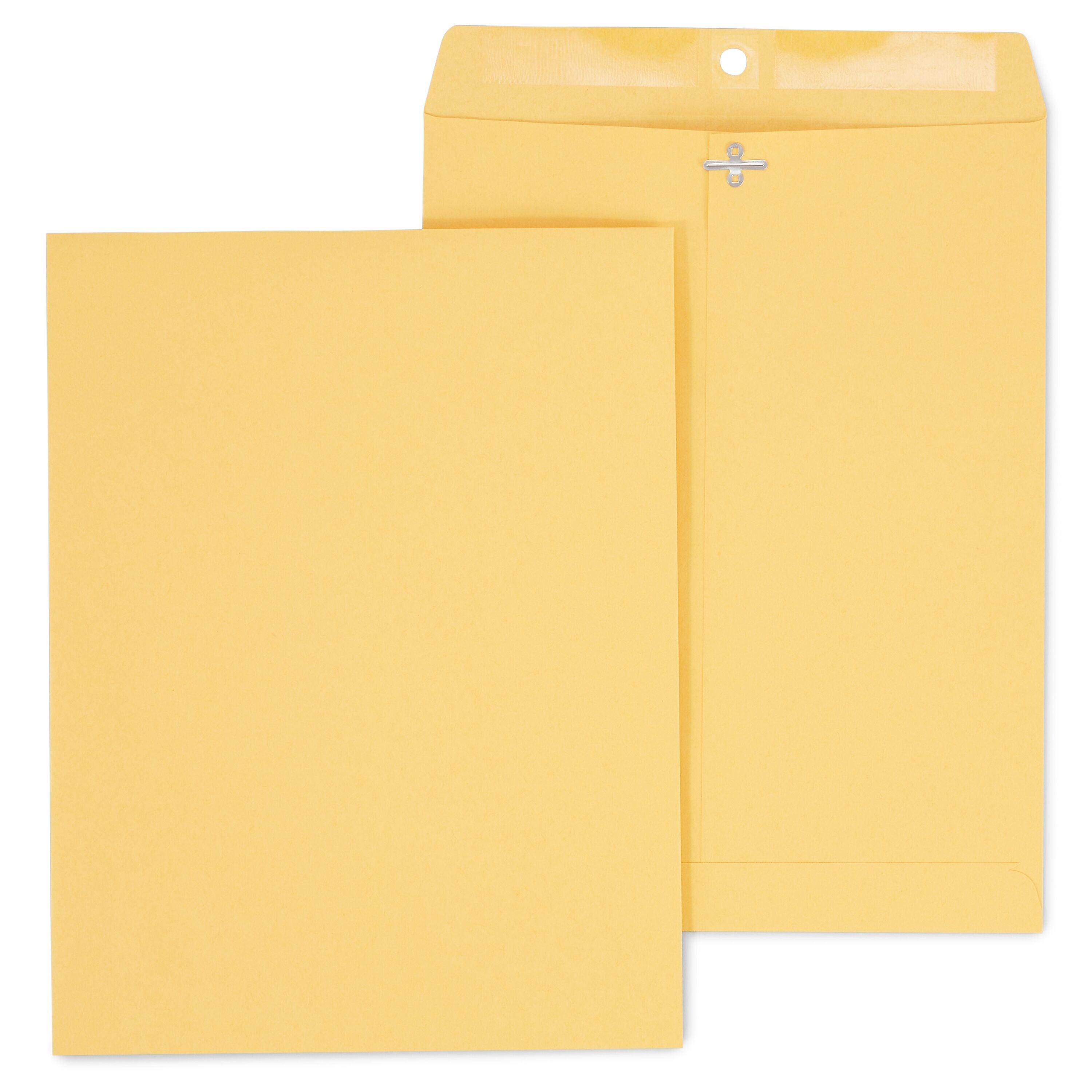 Staples Kraft Clasp & Gummed Catalog Envelopes, 10"L x 13"H, Brown, 100/Box