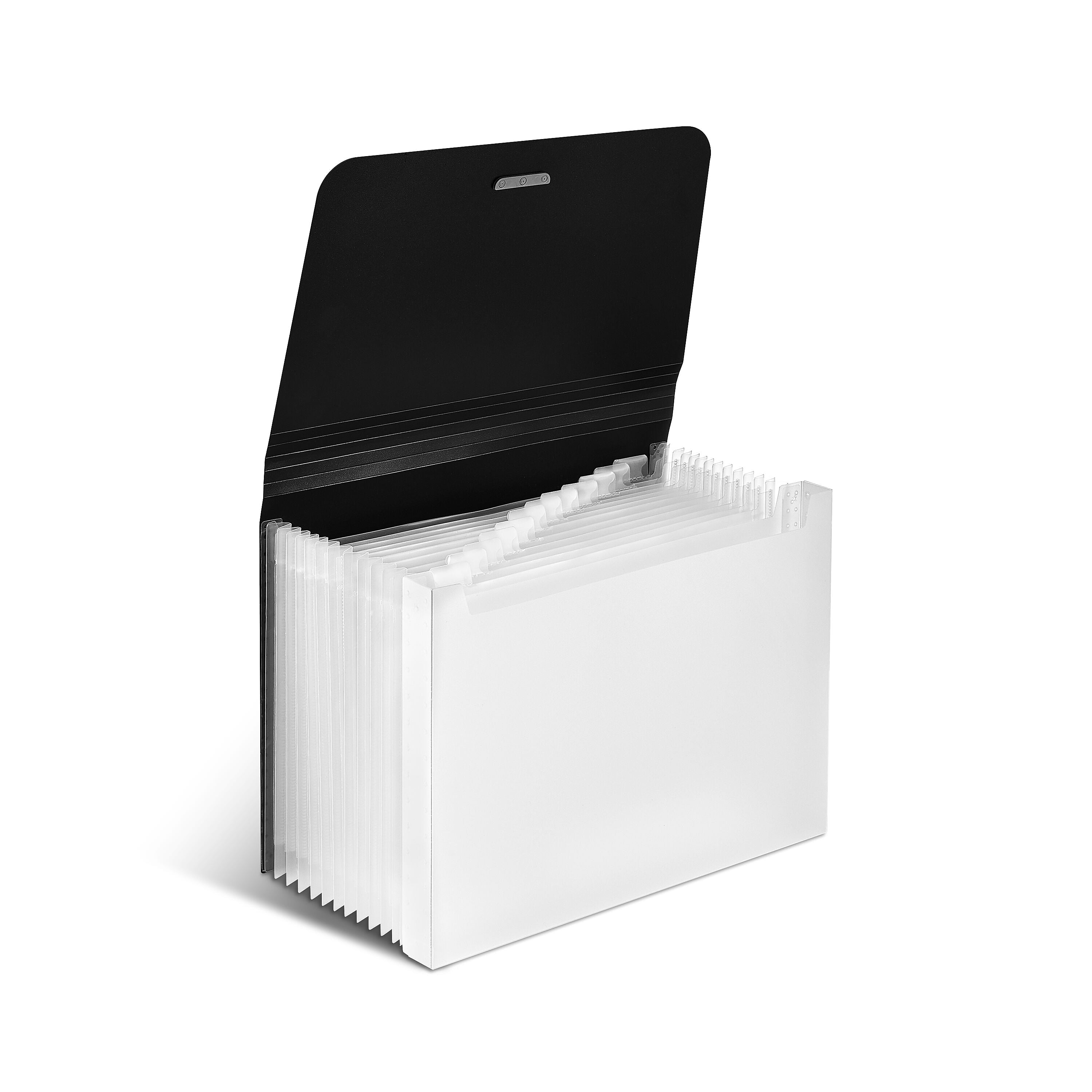 Staples Moisture Resistant Plastic Accordion File, 13-Pocket, Letter Size, Black