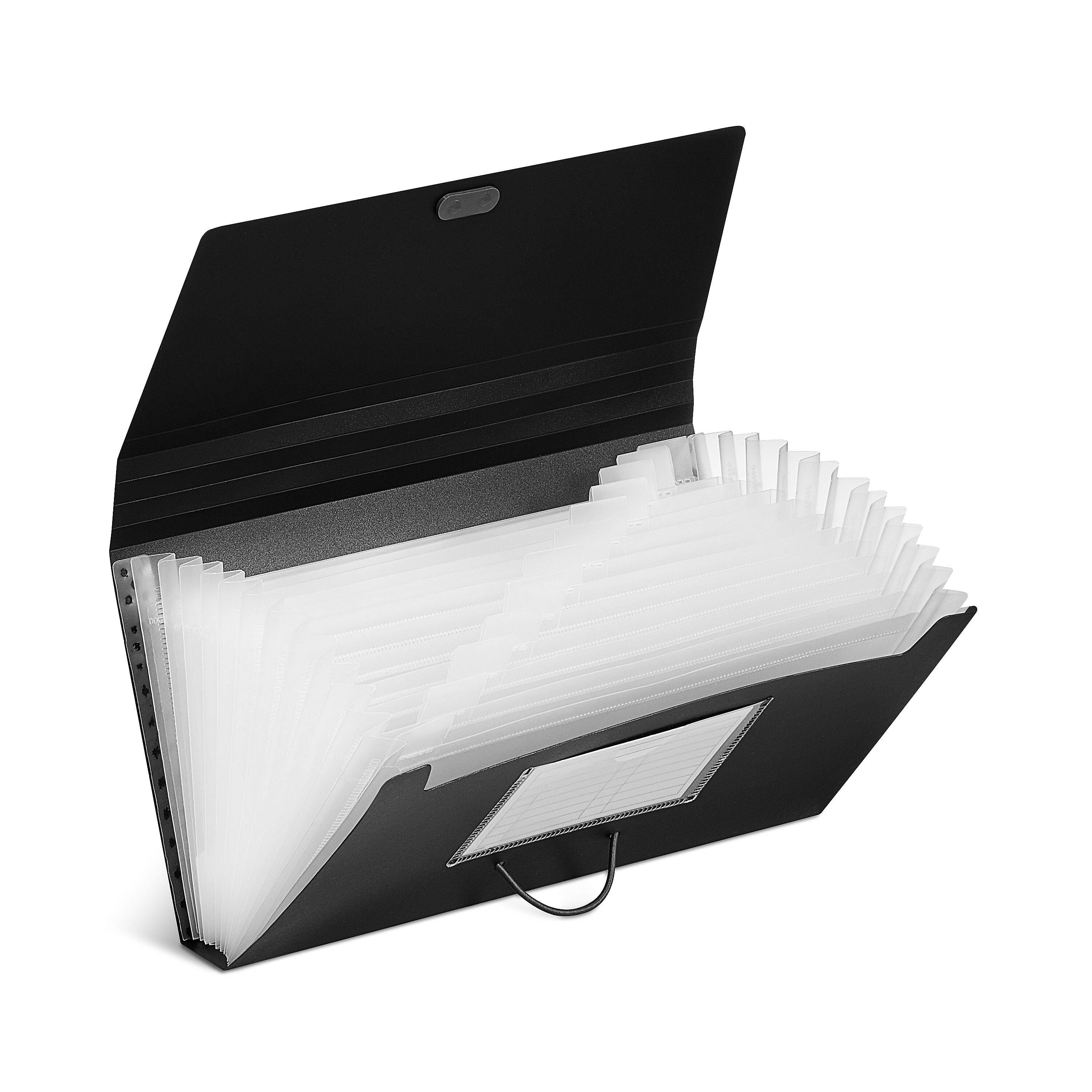 Staples Moisture Resistant Plastic Accordion Files, 13-Pocket, Check Size, Assorted Colors