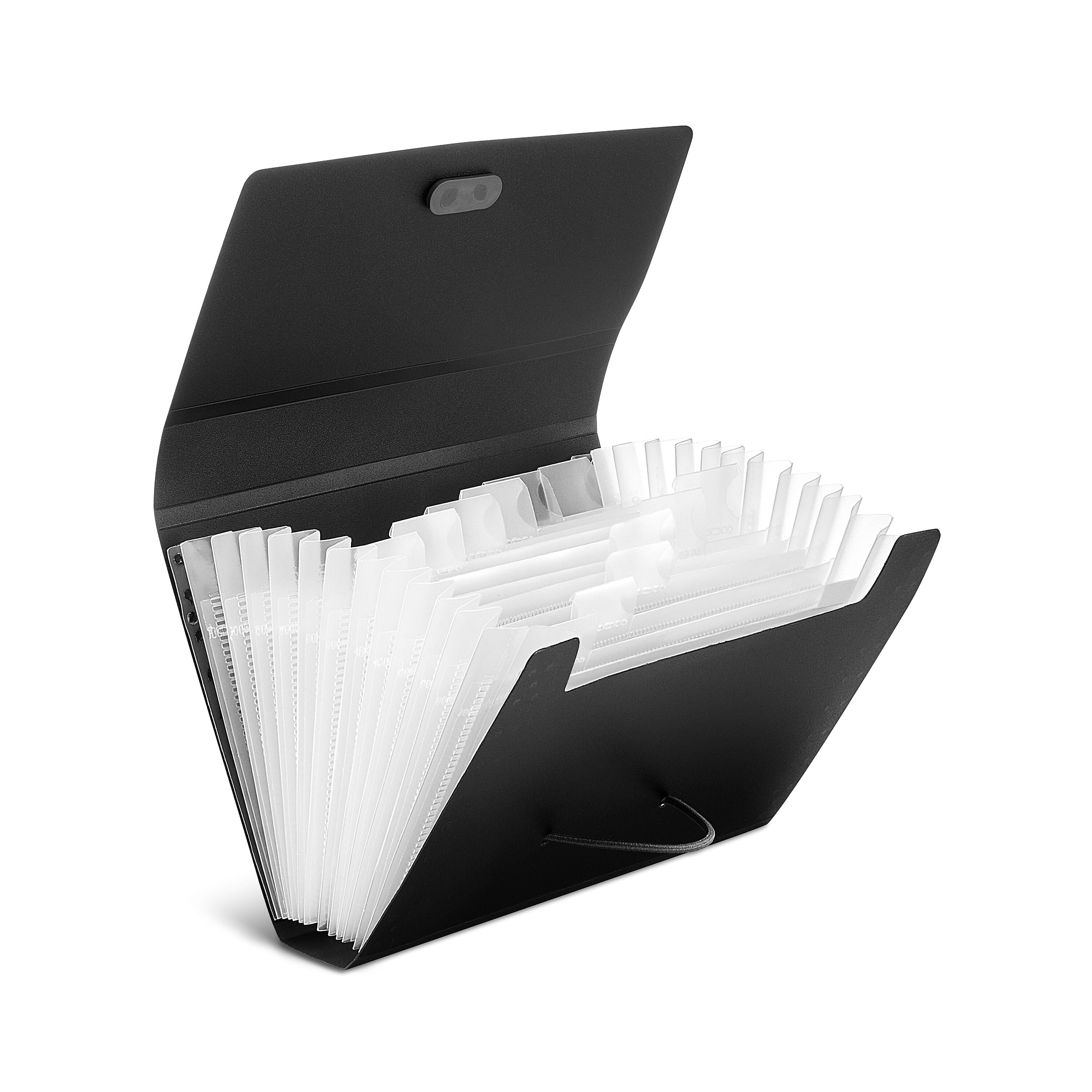 Staples Plastic Accordion File, 13-Pocket, Coupon Size, Assorted Colors