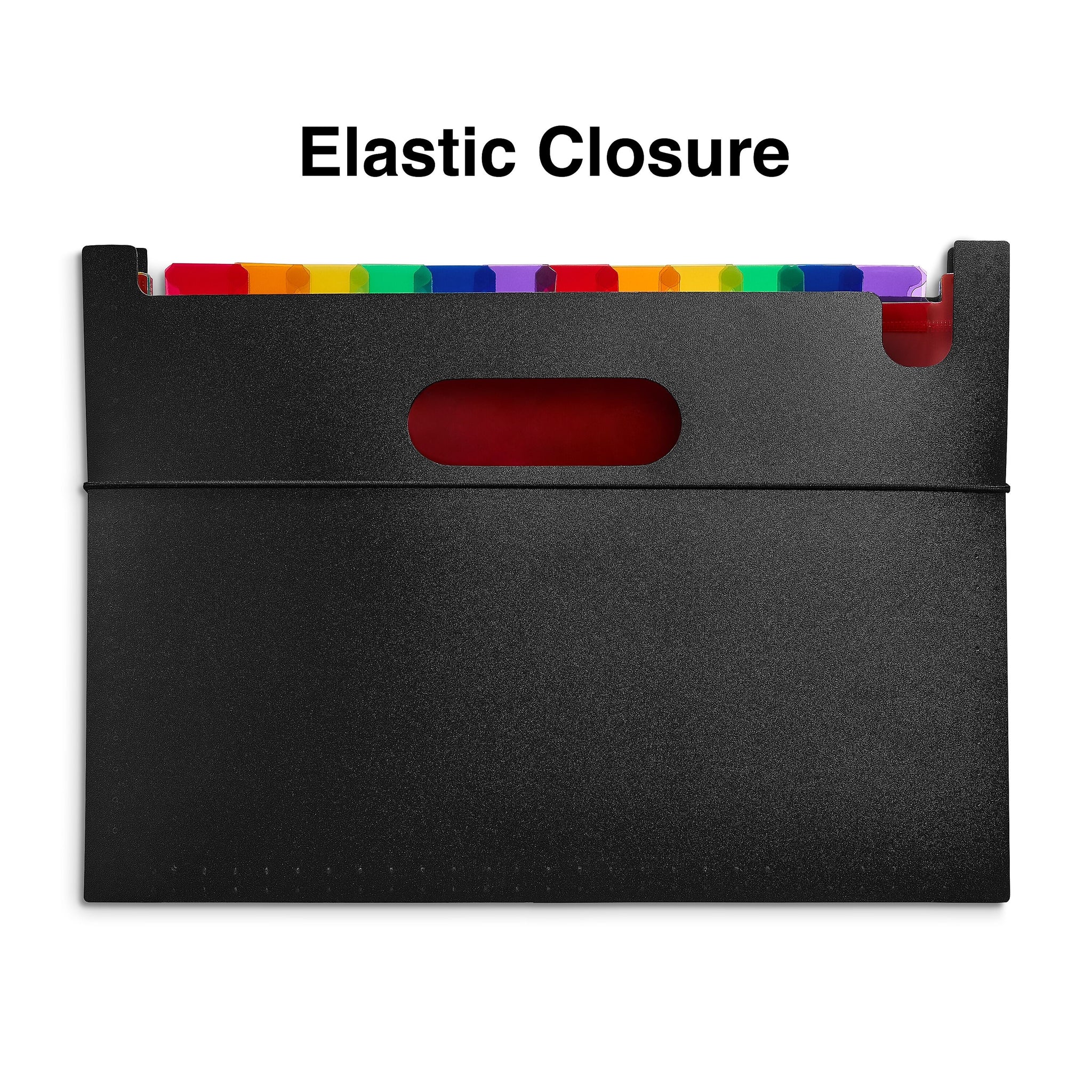 Staples Plastic Accordion File, 25-Pocket, Letter Size, Multicolor