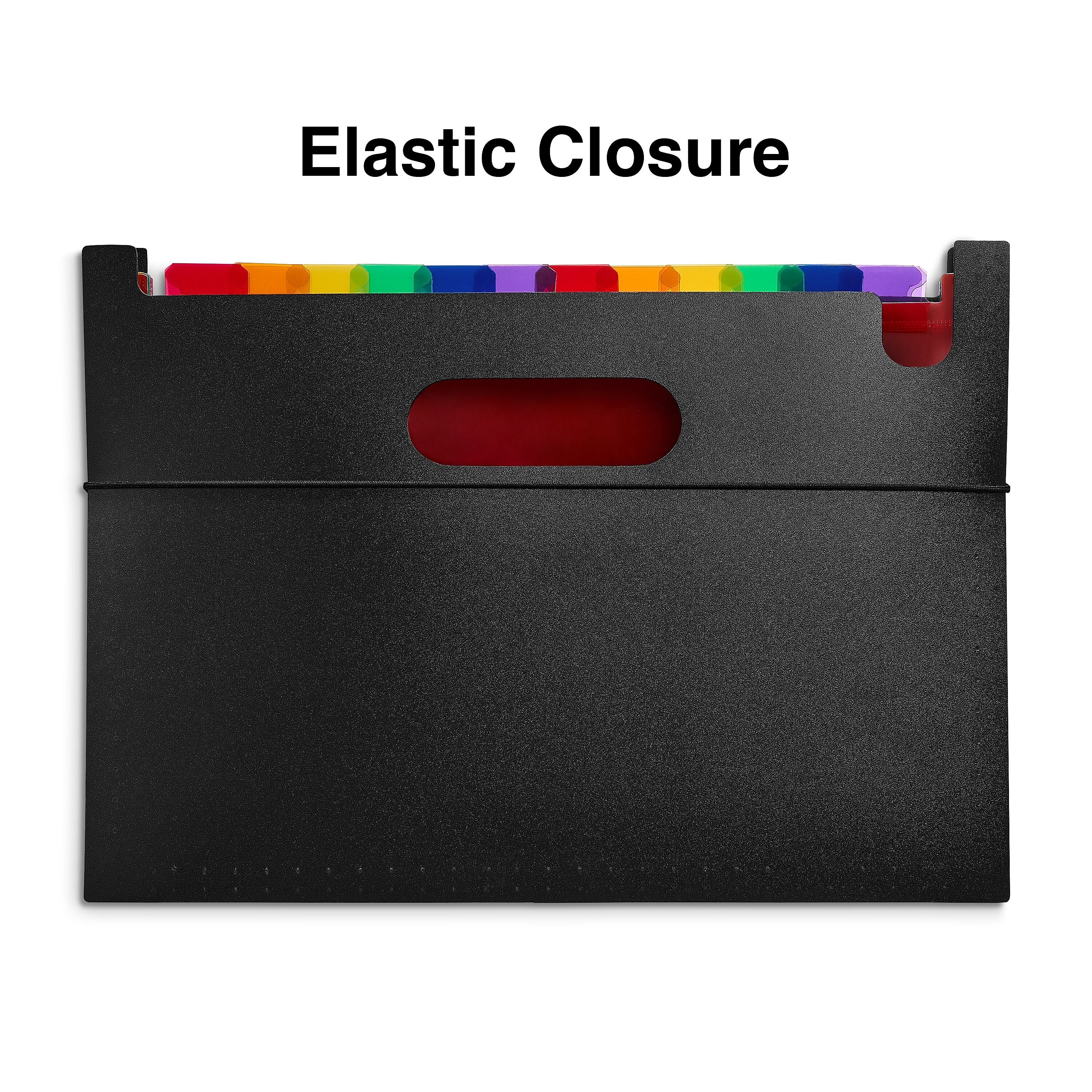 Staples Plastic Accordion File, 25-Pocket, Letter Size, Multicolor