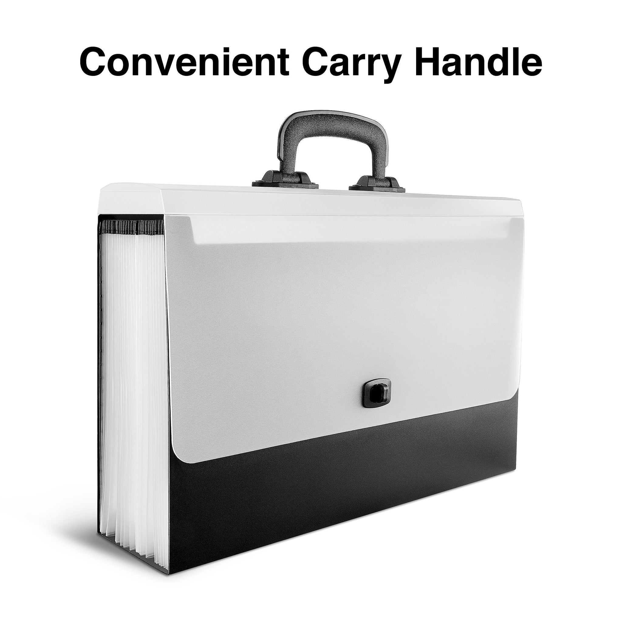 Staples Plastic Accordion File, 26-Pocket, Legal Size, Black