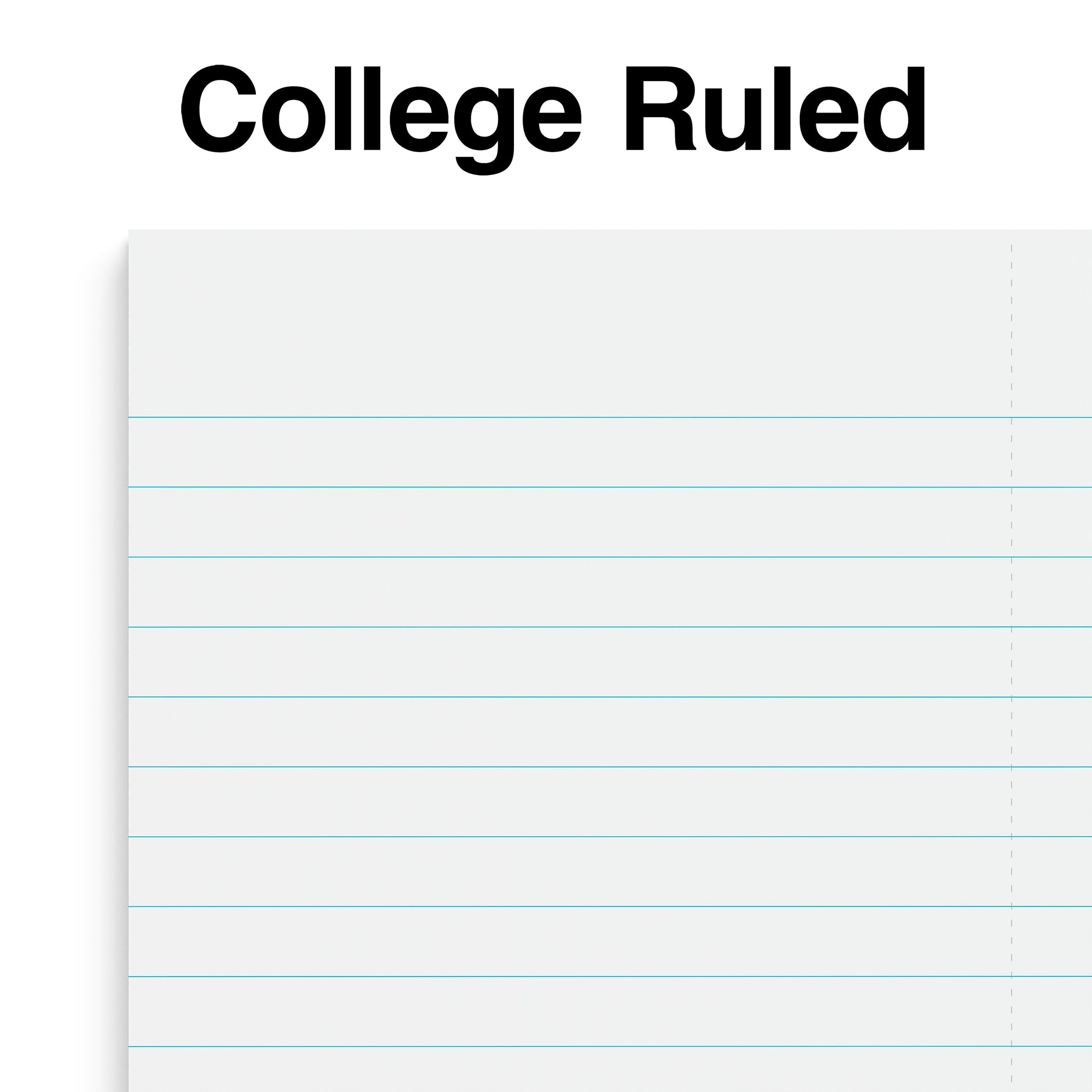 Staples Premium 1-Subject Notebook, 3.5