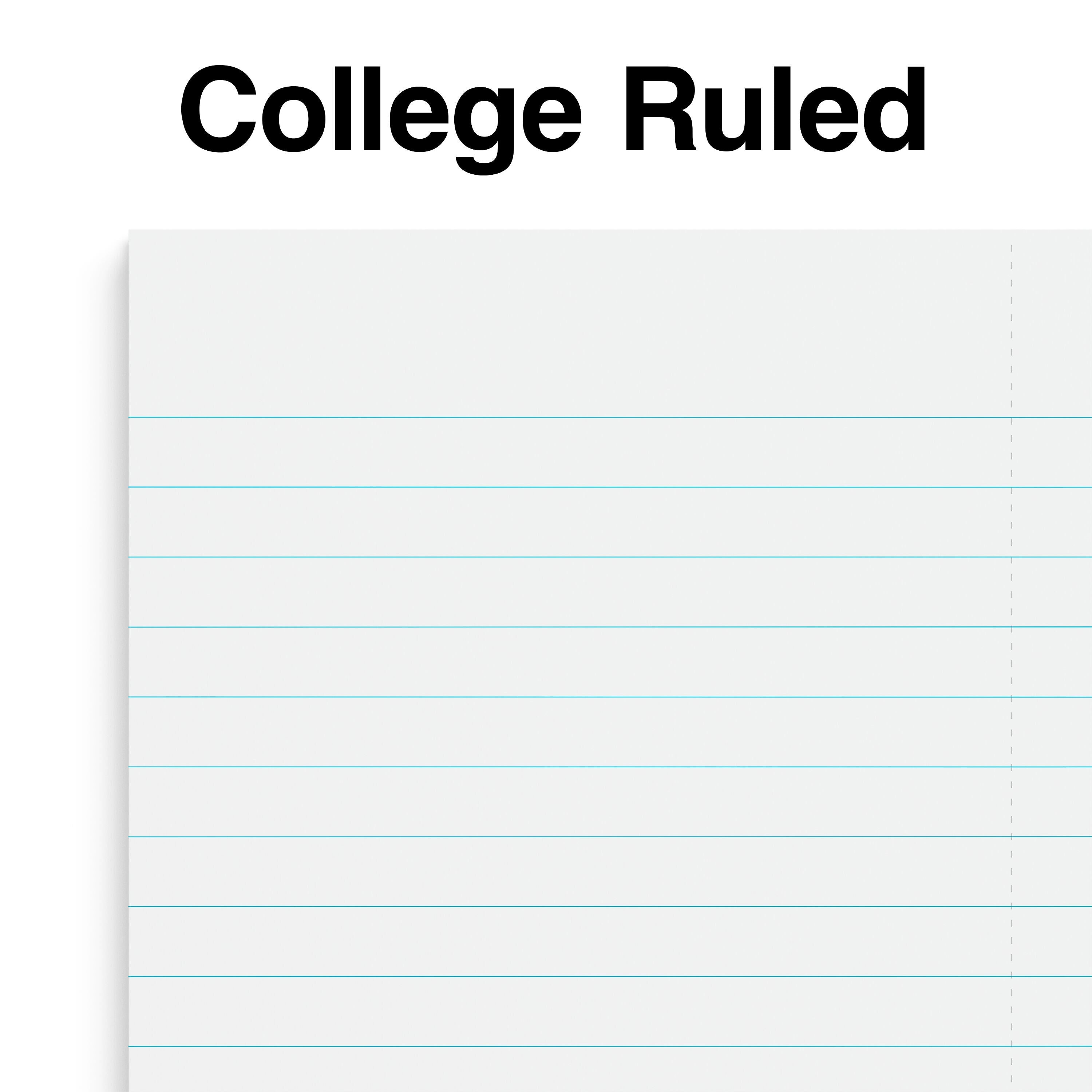 Staples Premium 1-Subject Notebook, 3.5