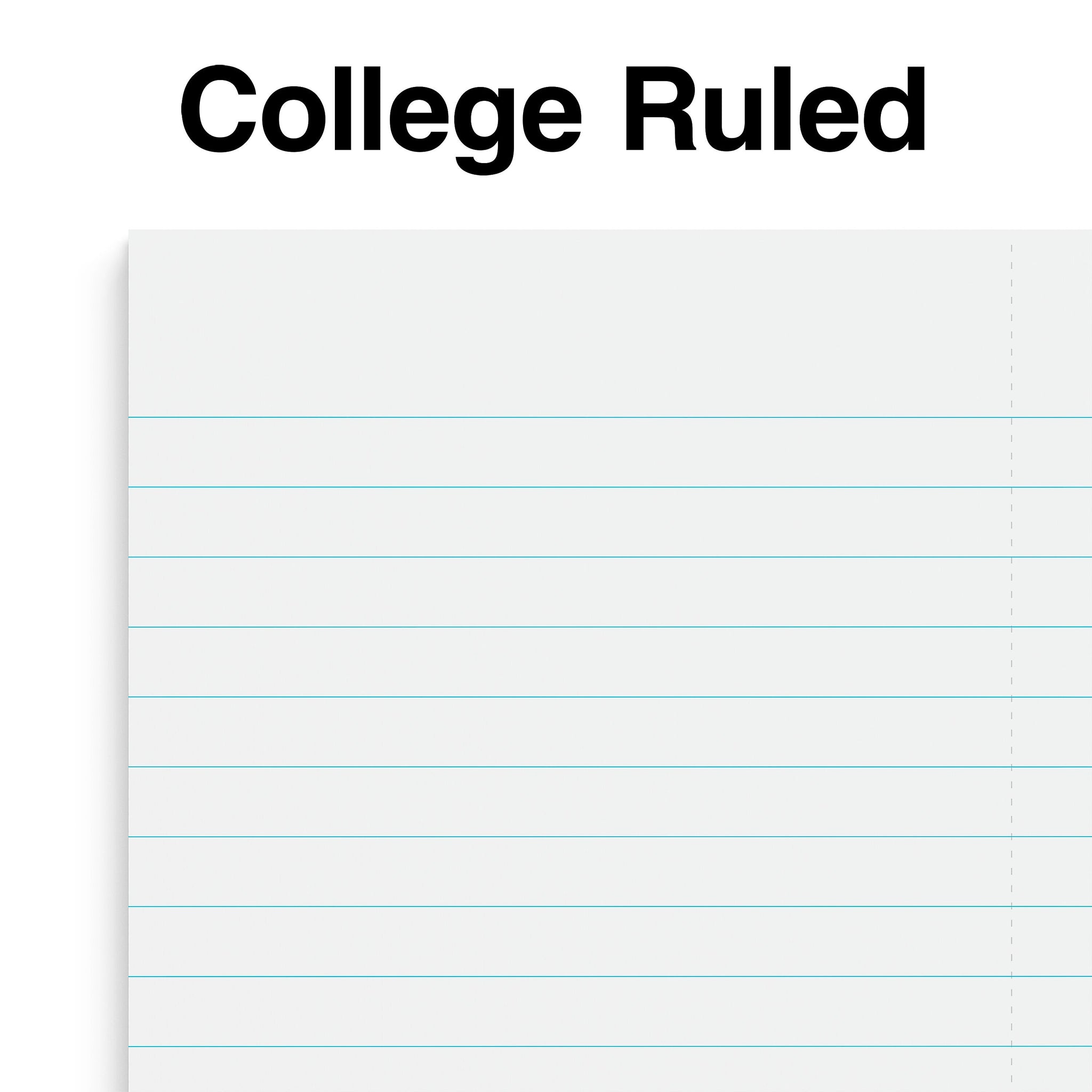 Staples Premium 1-Subject Notebook, 3.5