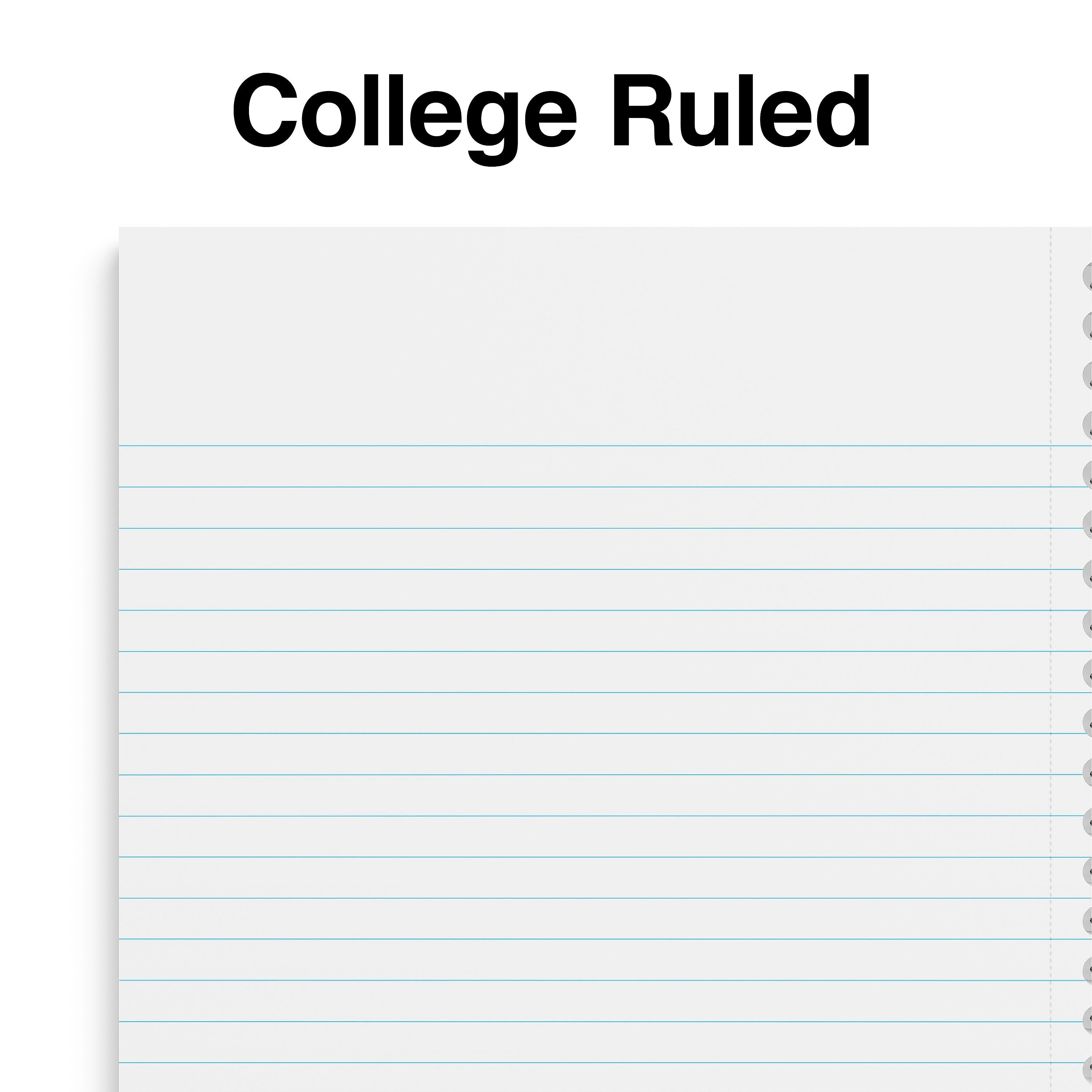 Staples Premium 1-Subject Notebook, 5.875