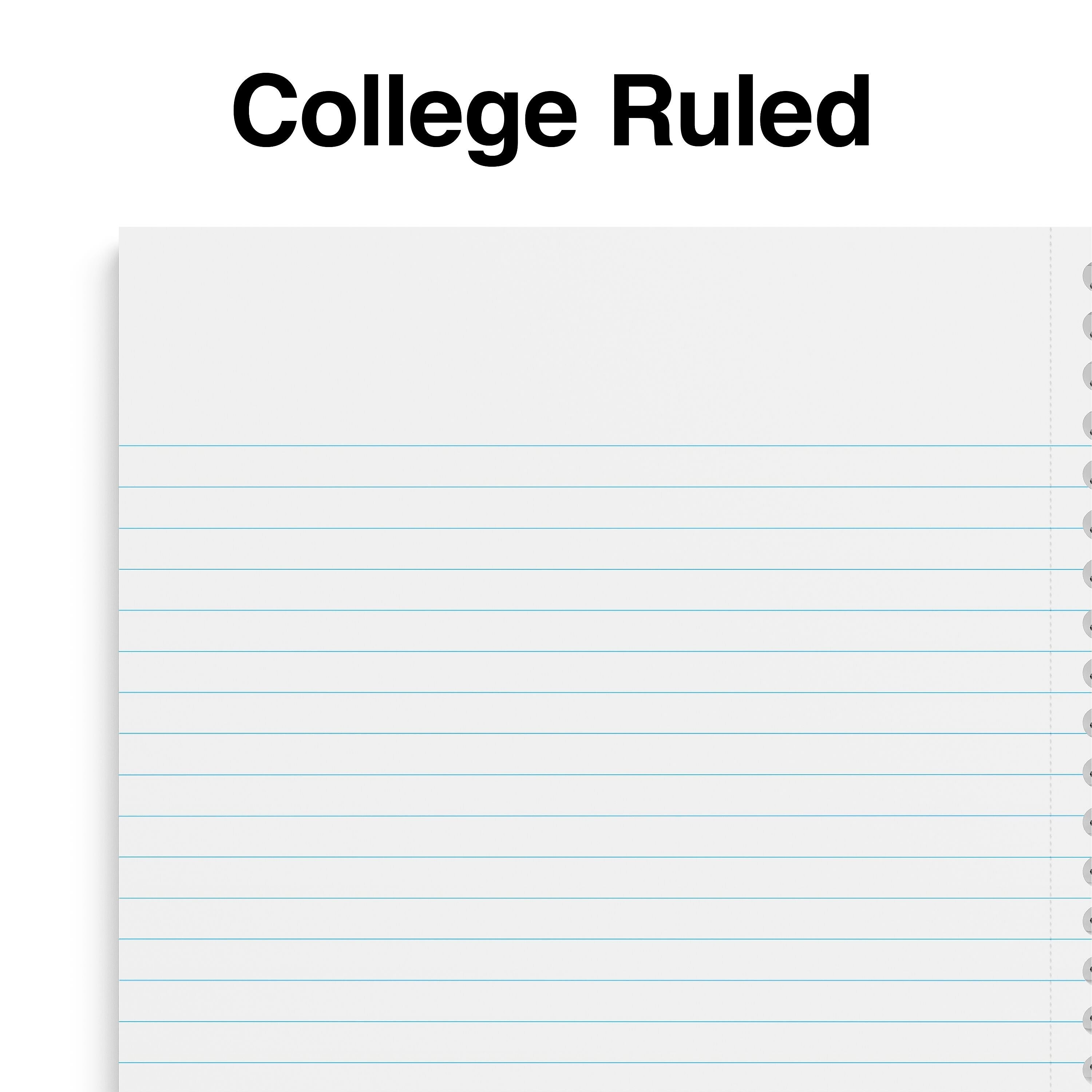 Staples Premium 1-Subject Notebook, 5.875