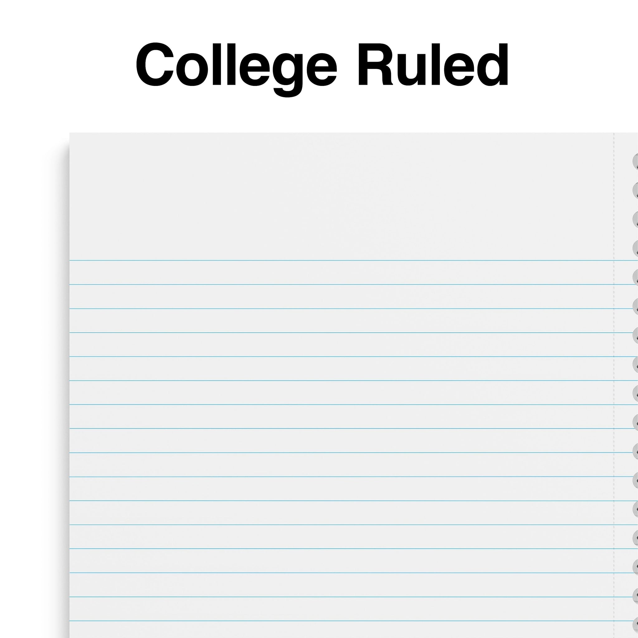 Staples Premium 1-Subject Notebook, 5.875