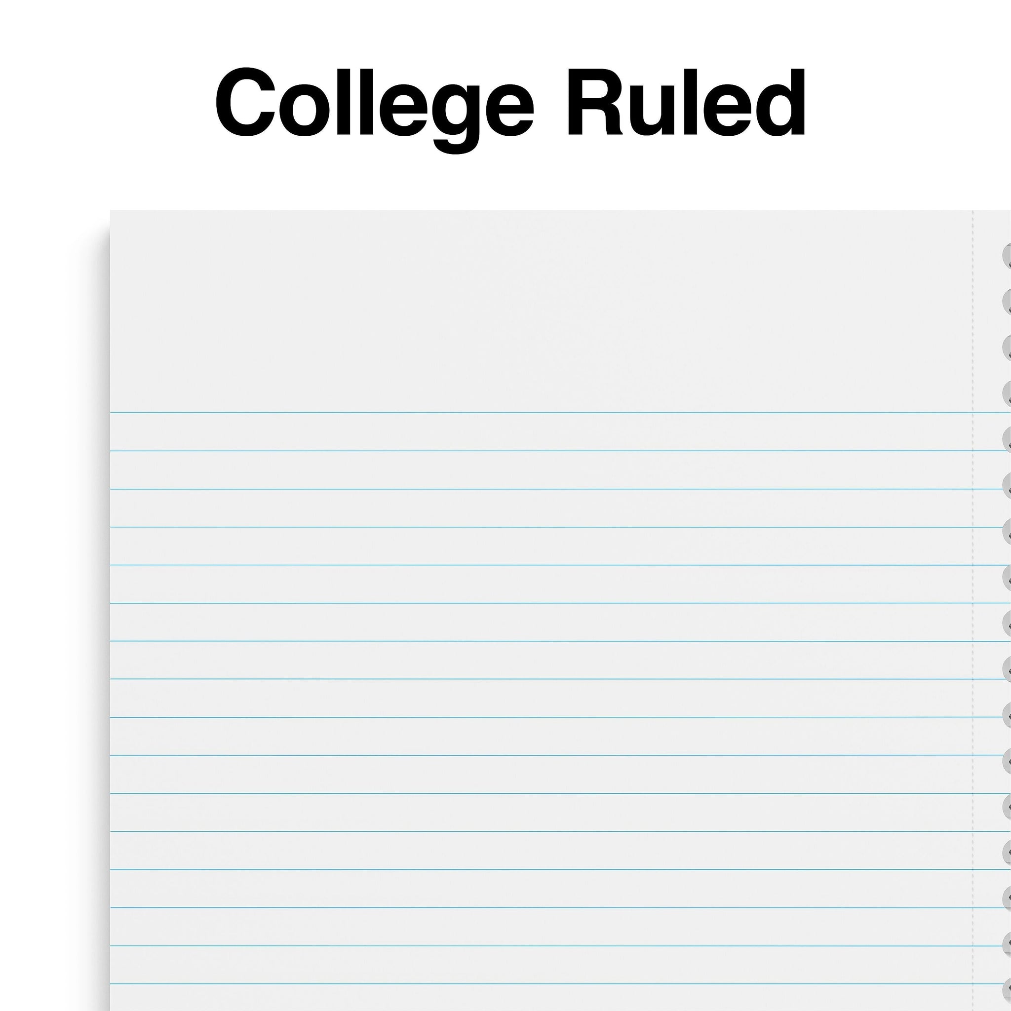 Staples Premium 1-Subject Notebook, 5.875