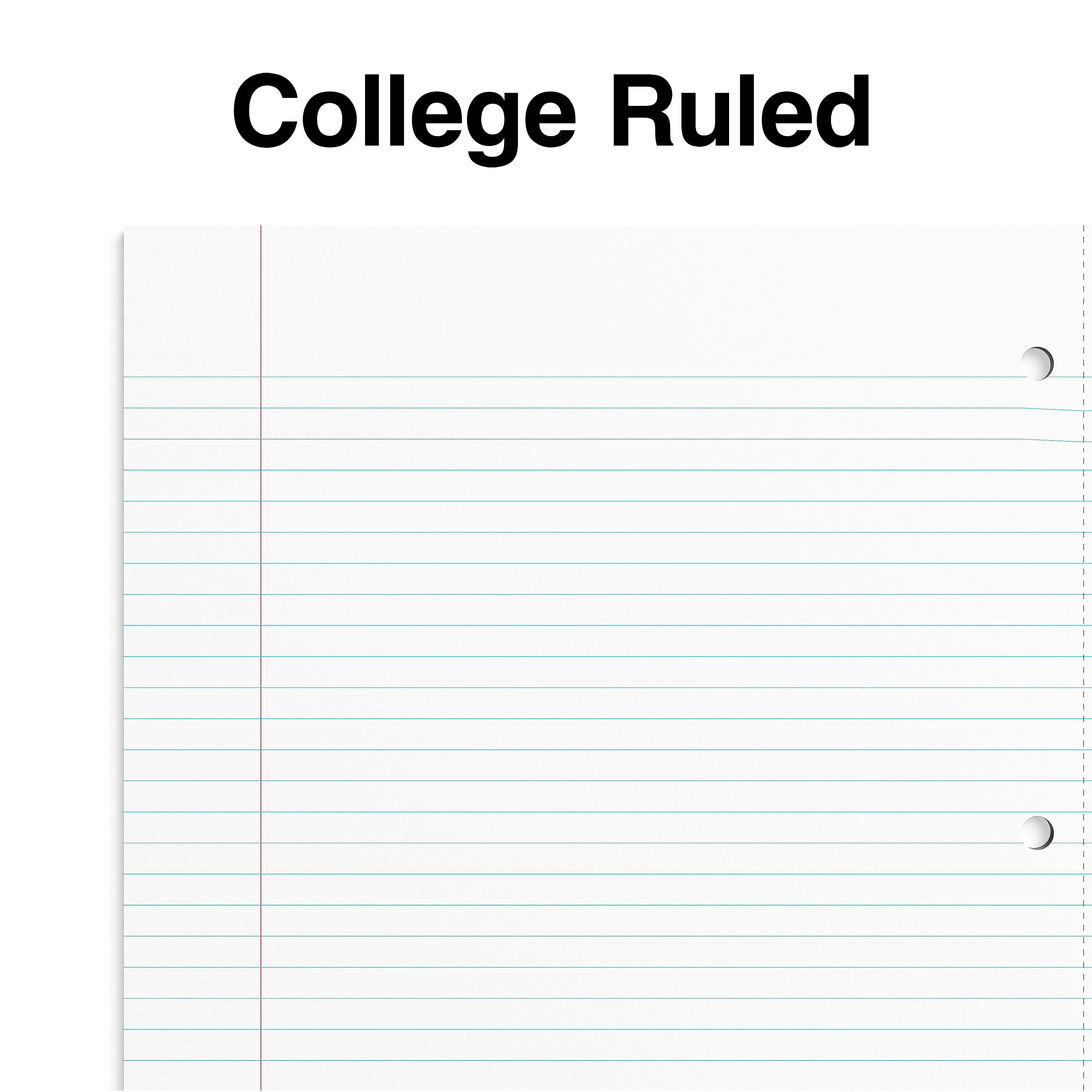 Staples Premium 1-Subject Notebook, 8.5