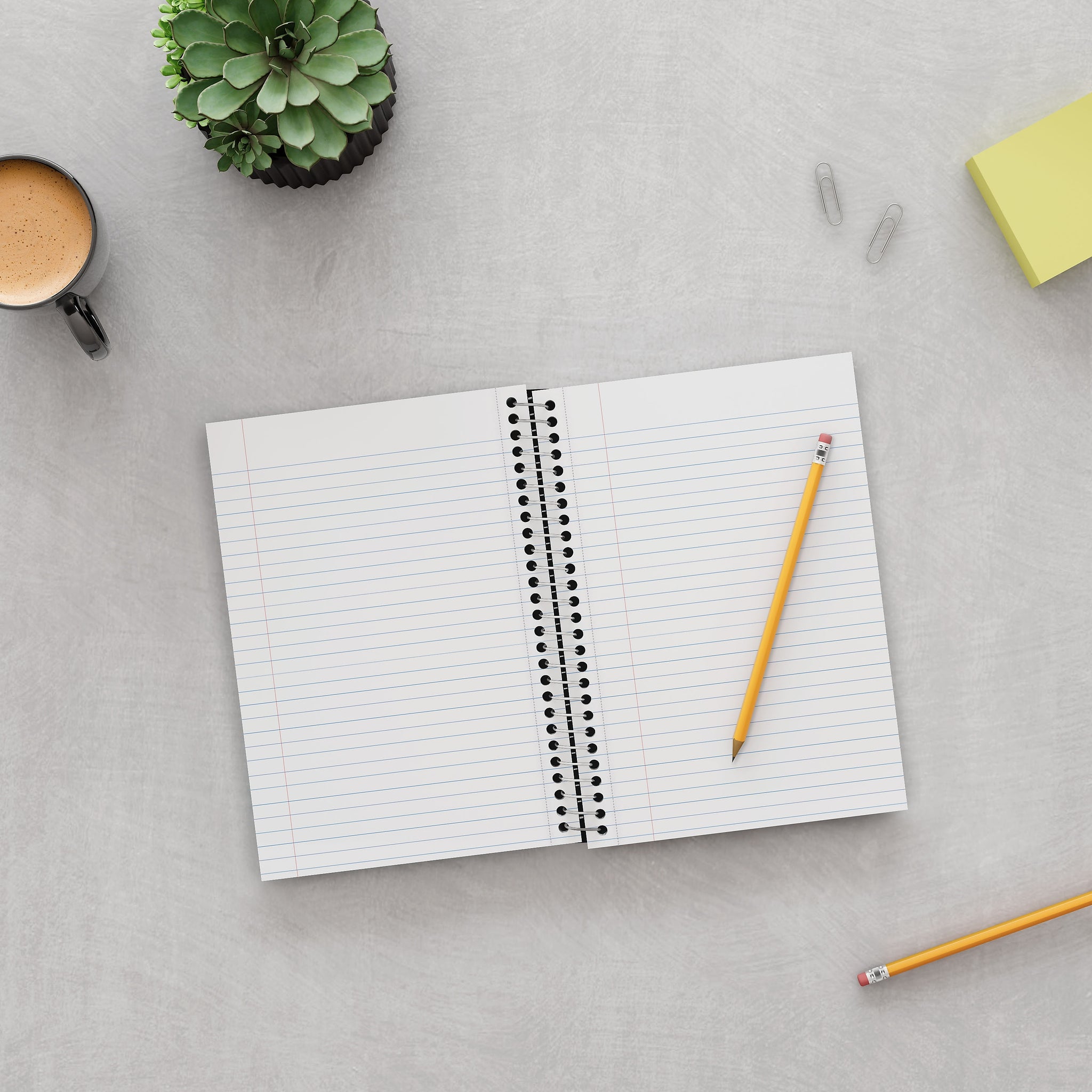 Staples Premium 2-Subject Notebook, 6