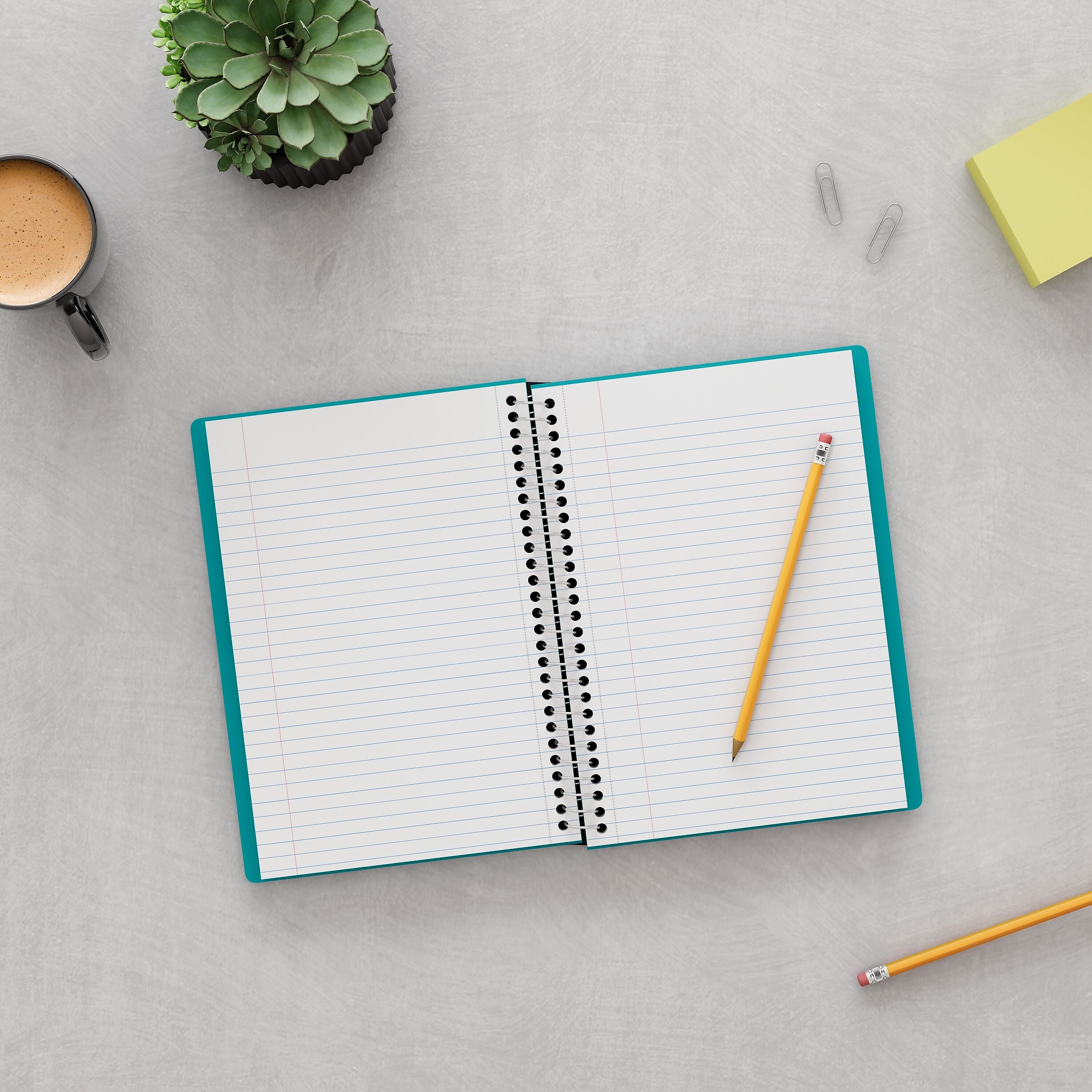 Staples Premium 2-Subject Notebook, 6