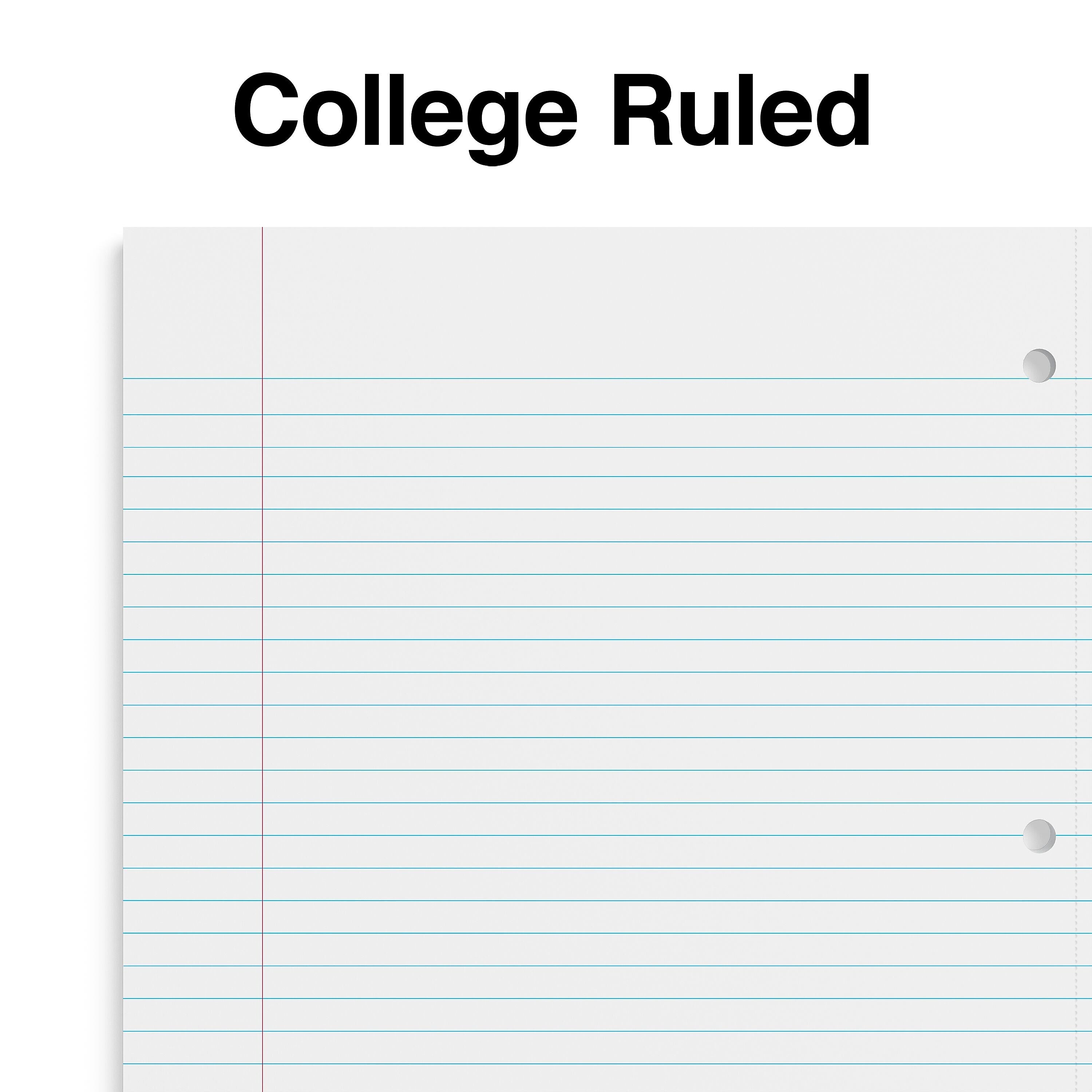 Staples Premium 2-Subject Notebook, 8.5