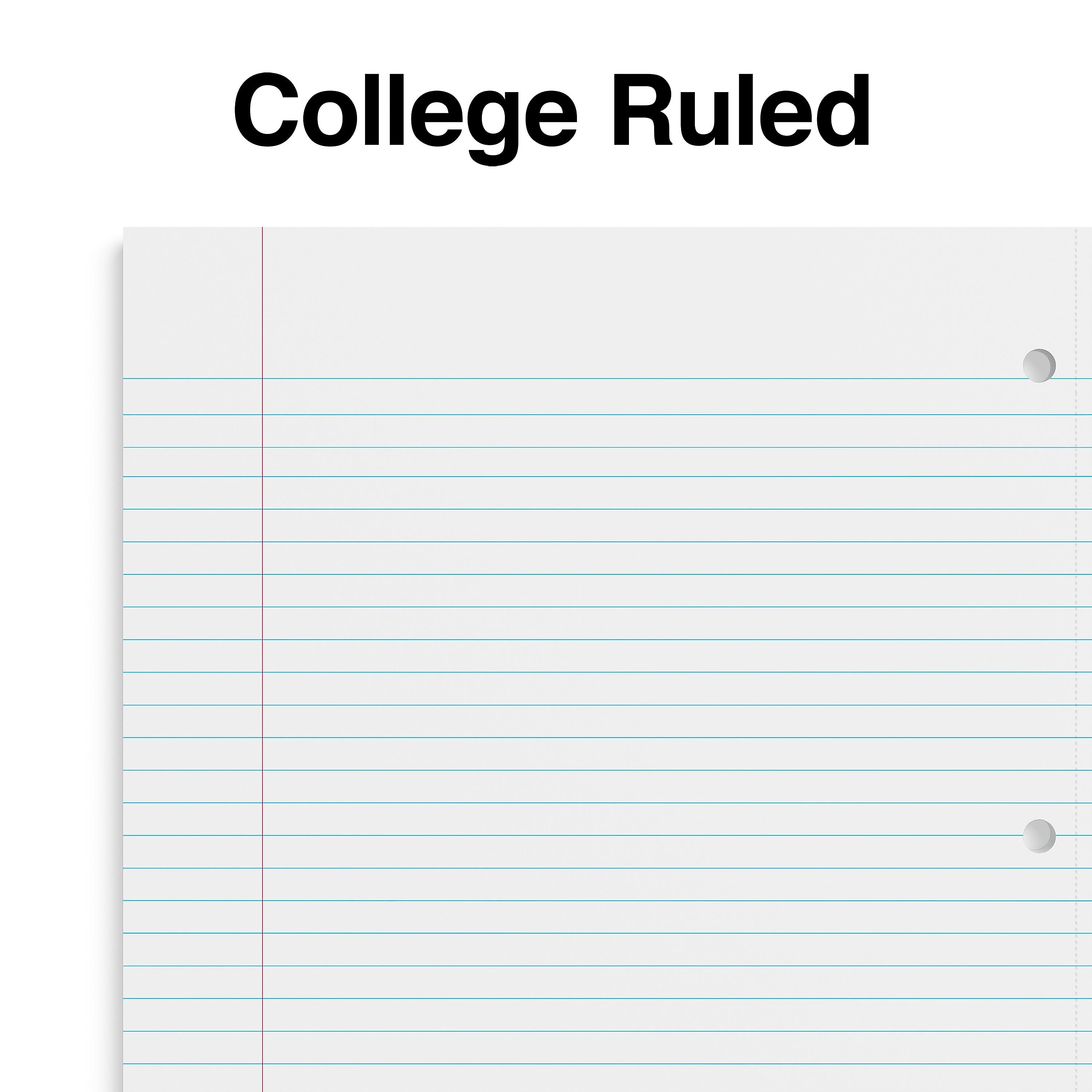 Staples Premium 2-Subject Notebook, 8.5
