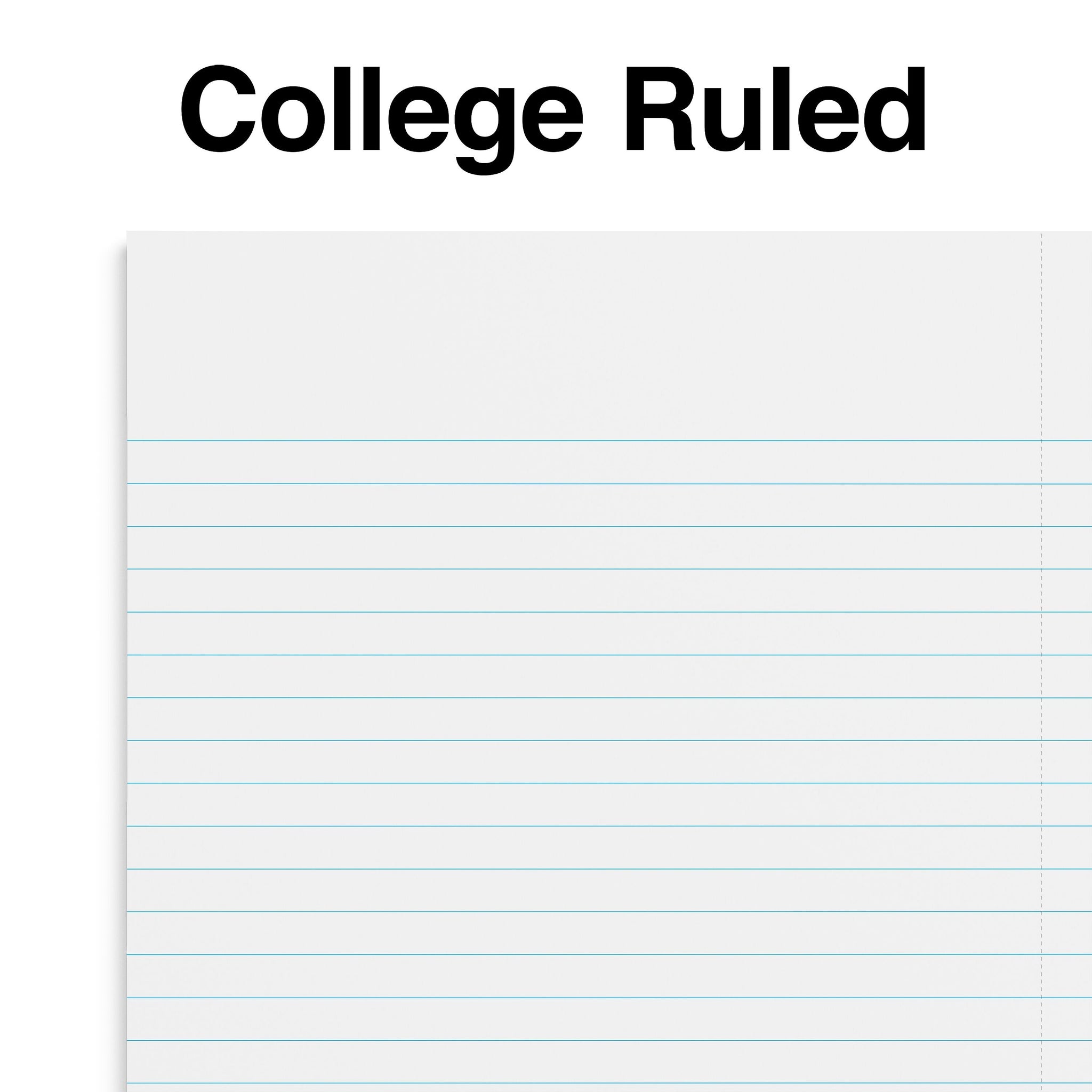 Staples Premium 3-Subject Notebook, 5.88