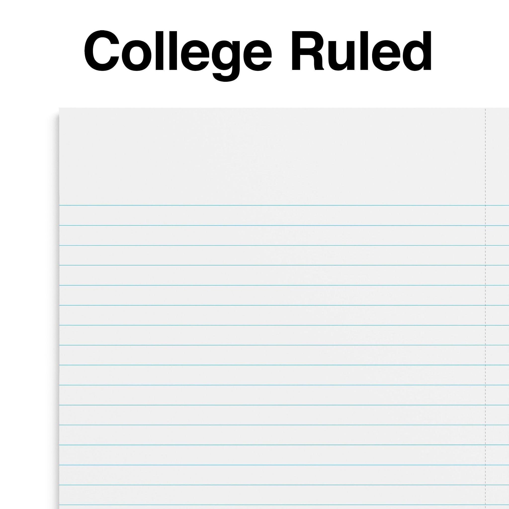 Staples Premium 3-Subject Notebook, 5.88