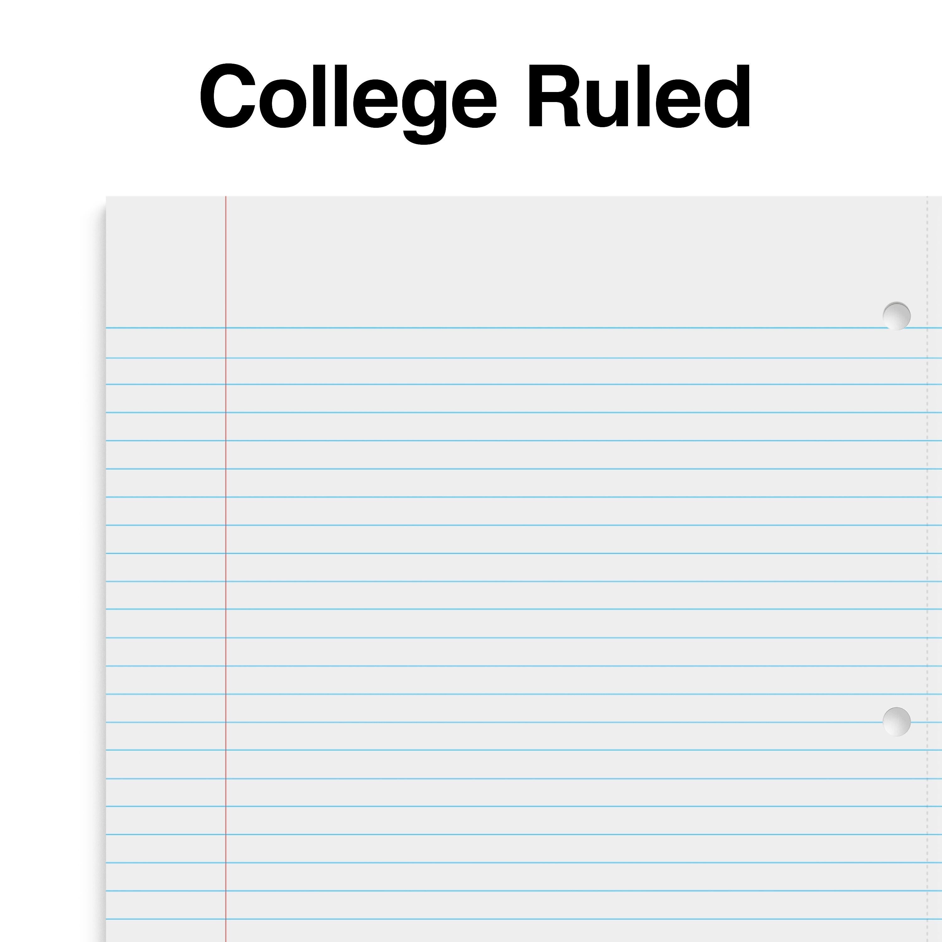 Staples Premium 5-Subject Notebook, 8.5