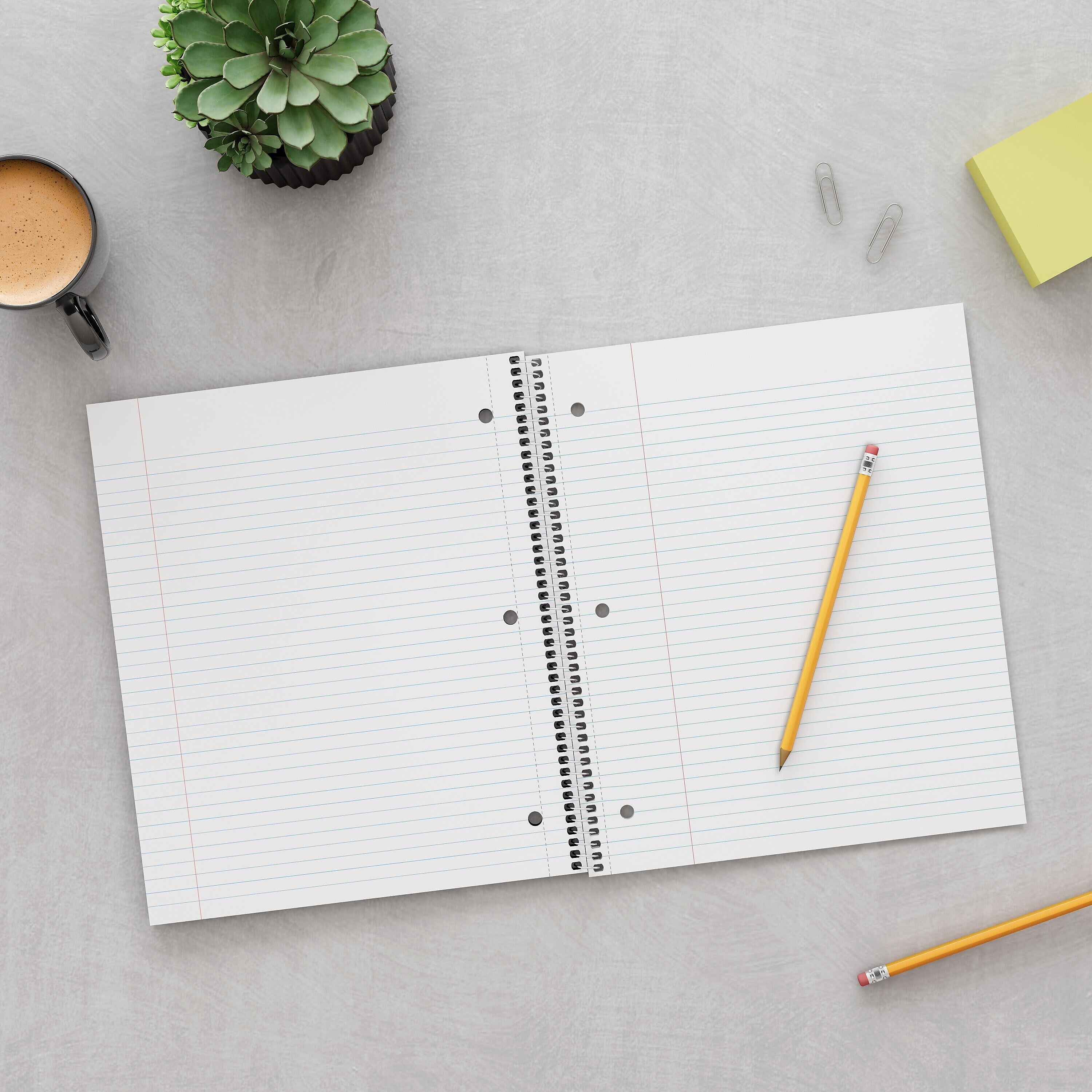 Staples Premium 5-Subject Notebook, 8.5